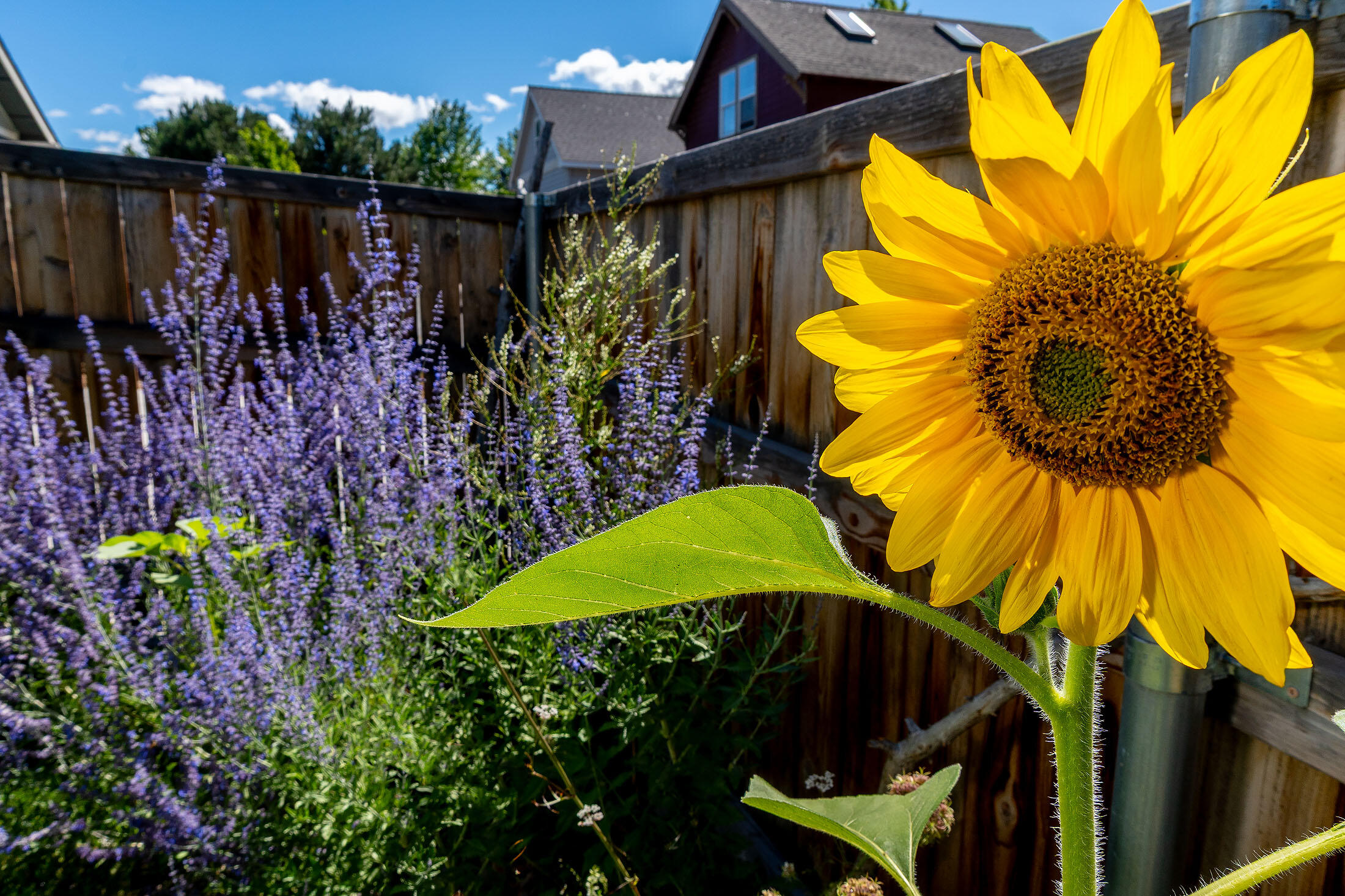 Canyon Rim Village - Residential