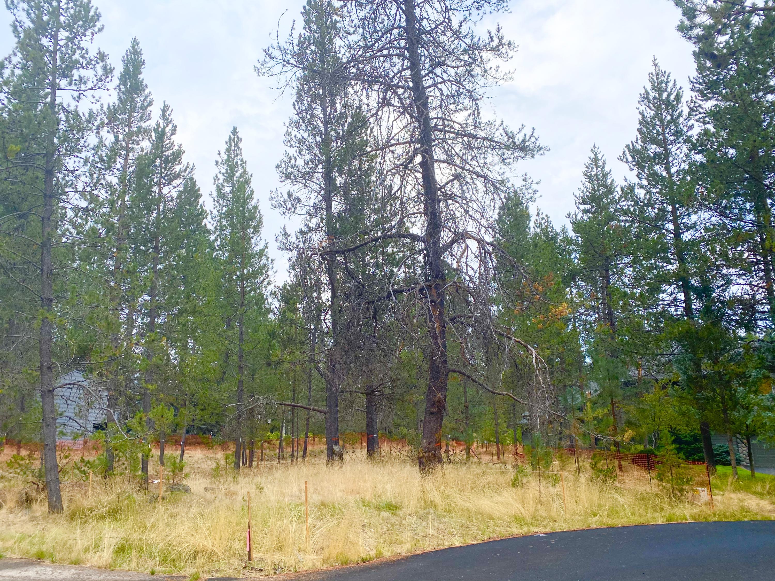 River Village - Land