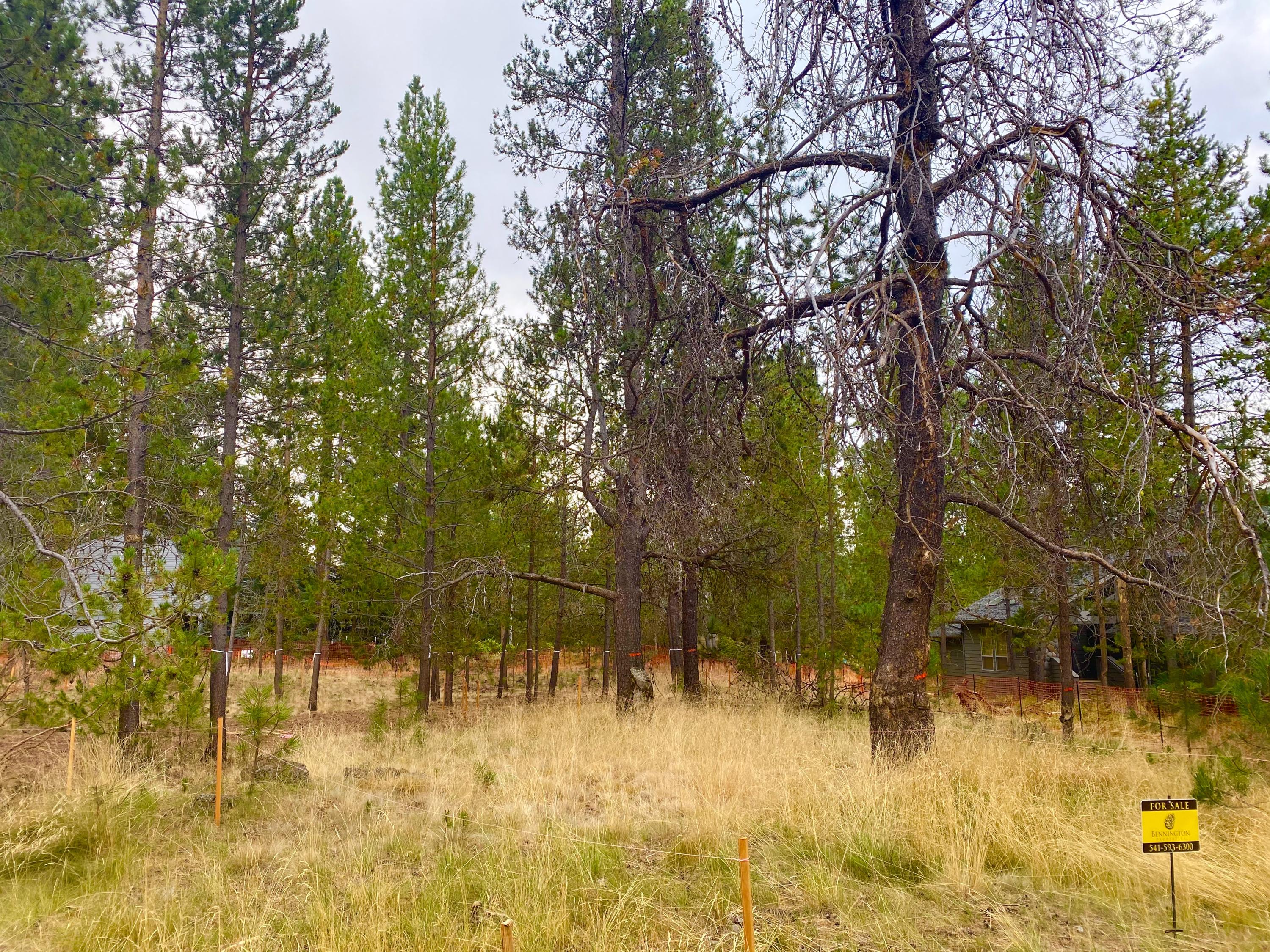 River Village - Land