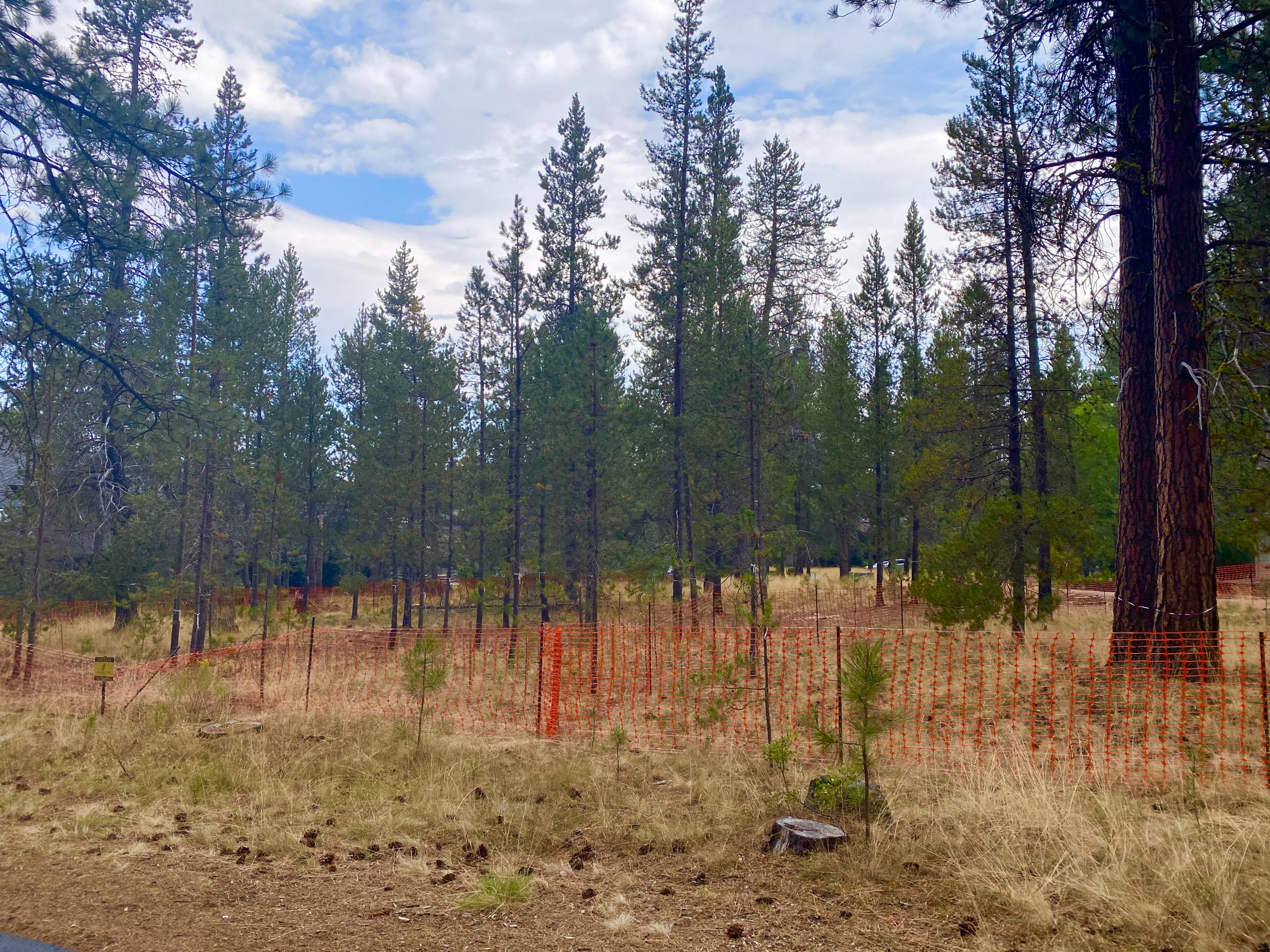 River Village - Land