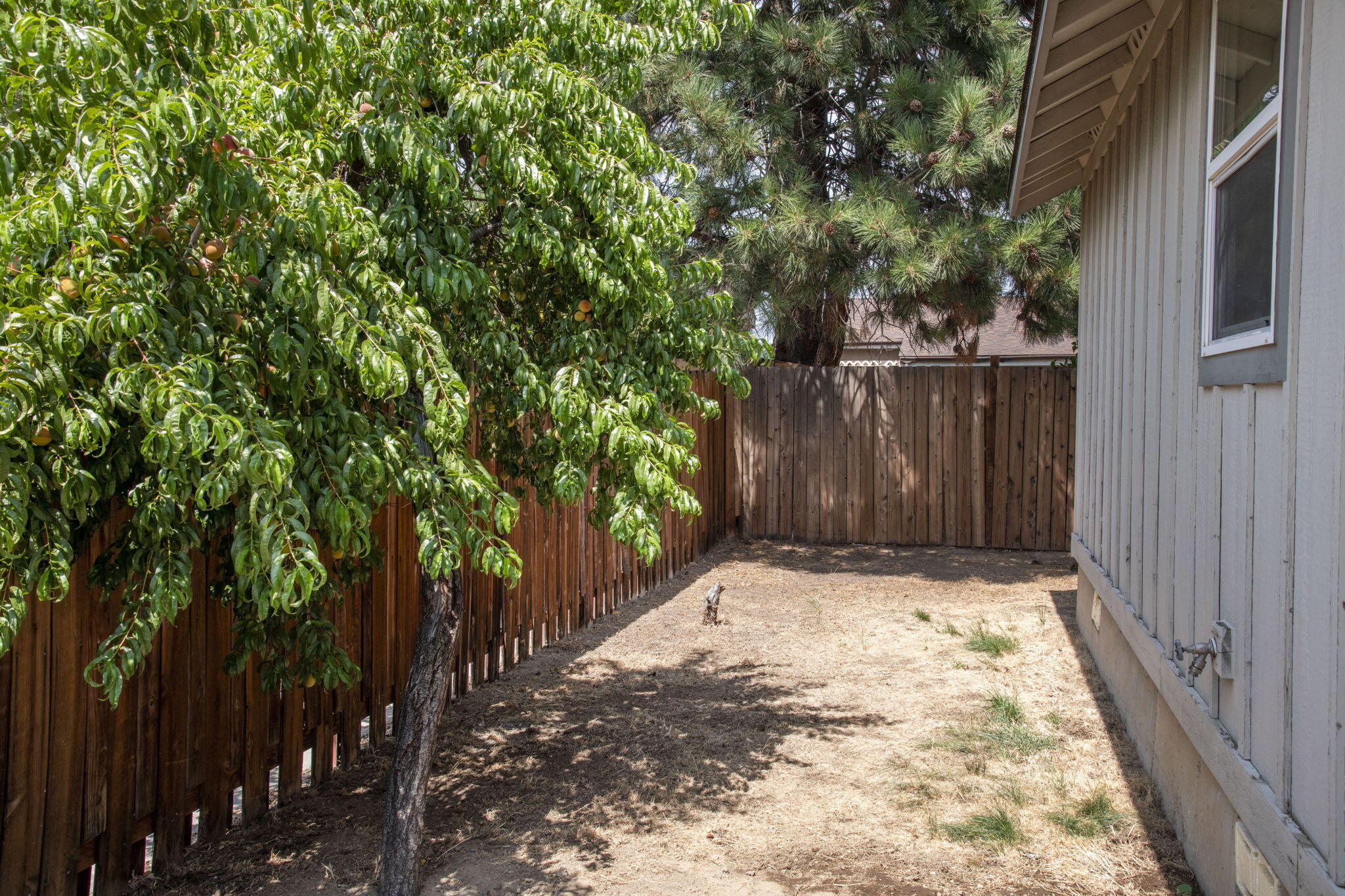 Forum Meadows - Residential