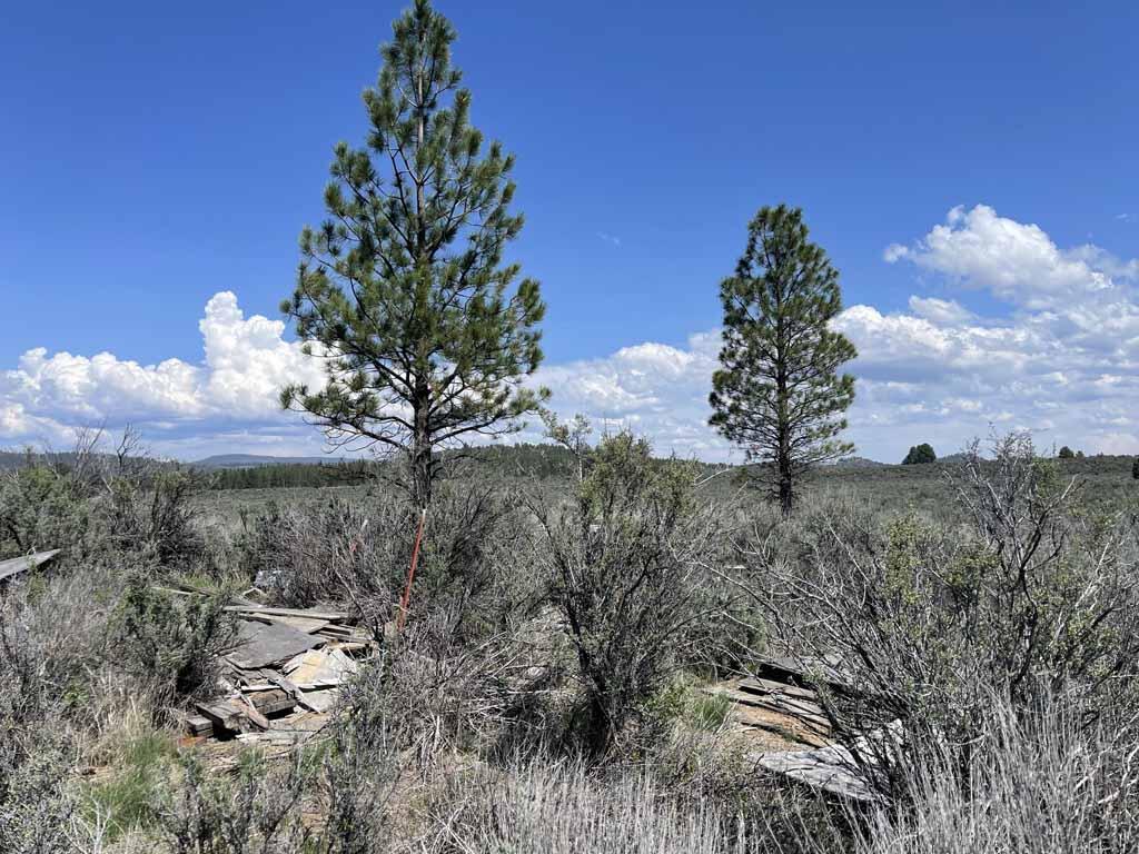 Klamath Country - Land