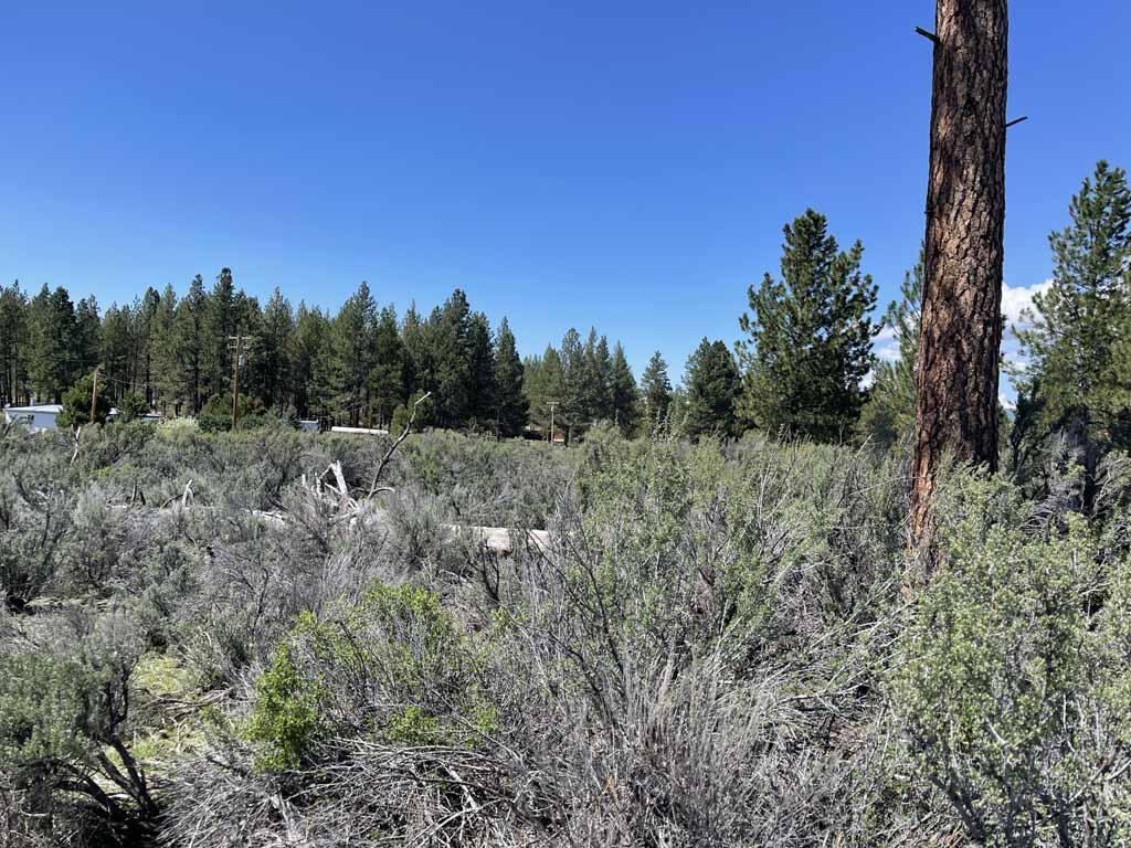 Klamath Country - Land