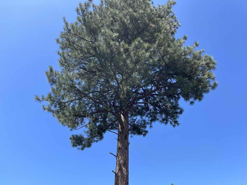 Klamath Country - Land