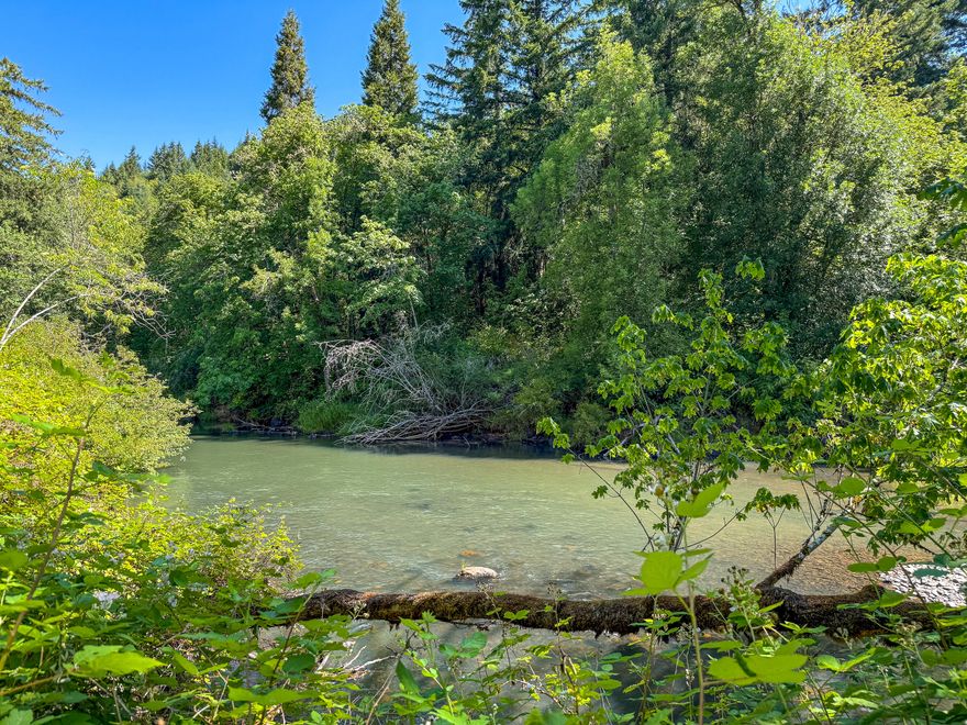 Nestled along the scenic Coast Fork of the Willamette River in Cottage Grove, Oregon, this 1.69-acre parcel offers a rare blend of peaceful seclusion, natural beauty, and possible future development potential. Located in a quiet and lightly developed area, the property sits off a paved road with convenient access while still offering the sense of privacy and space that many seek. Surrounded by tall trees the setting is tranquil and ideal for those looking to escape the noise of city life. Whether you're envisioning a recreational getaway, weekend retreat or simply an investment in Oregon's Willamette Valley, this property is full of promise. The land's gentle terrain and proximity to the river offer opportunities to enjoy nature at your doorstep. The property's position along the Coast Fork means you're never far from fishing, swimming, or kayaking, while still being just a short drive from the historic charm and amenities of downtown Cottage Grove. Buyers to satisfy due diligence.