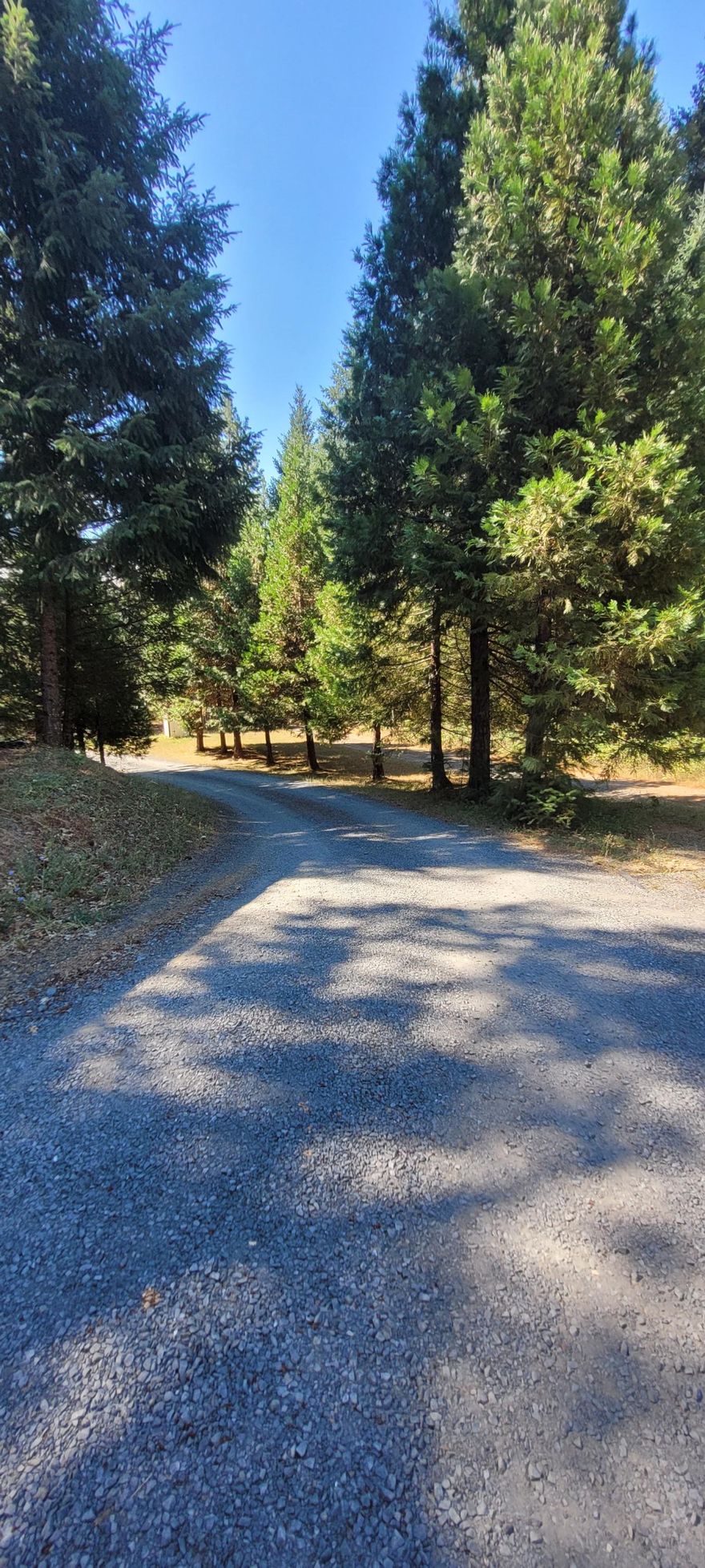 Check this out! Country at Its Best--enjoy coming home to a private 3/2 1848 sf unbelievable completely remodeled home on 2+ tree studded acres. Custom wood working throughout the entire house...from the formal entry, lots of gorgeous cabinetry to the pull out pantry with hidden extra storage to the built in book shelves to the jaw- dropping custom bathrooms complete with floor to ceiling tile, glass doors, new flooring, lovely lighting, & custom cabinetry. Huge kitchen with gas stove, all custom cabinets including clever dish plate storage (ez to clean--ask agent) spacious counter tops for baking needs, and delightful breakfast bar that lights up and seats 4! Bedrooms are perfectly sized, Well built deck around house --perfect for BBQs and entertaining. Room for a garden, room for animals and more! Did we mention the detached workshop/garage? Oversized 2 car garage with custom workshop area. Call today for your private showing.