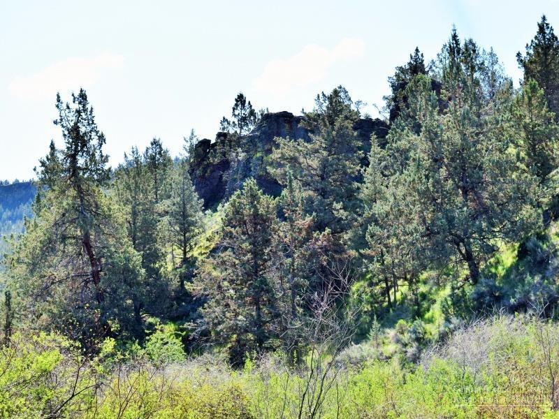 Ochoco Creek Resort - Land