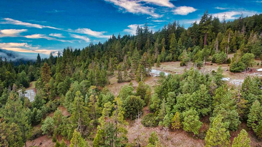 Owner Carry Possible!
Are you seeking a property that offers an abundance of possibilities and checks all the right boxes? Look no further than TL 300 Jump Off Joe Creek, an amazing land offering that spans over 20 acres. This remarkable property has a host of desirable features that will ignite your imagination and inspire your vision. Moving over the land, you'll encounter a seasonal creek and pond that adds to the natural beauty of the surroundings. There are expansive flat areas that provide ample space for all your plans. One of the highlights of this property is the impressive stand of marketable timber that covers a significant portion of the land. This valuable resource not only enhances the aesthetics of the property but also presents potential financial opportunities. Whether you choose to harvest the timber or preserve it for future appreciation-- the possibilities are endless: TL 300 Jump Off Joe Creek offers the perfect canvas to bring your dreams to life