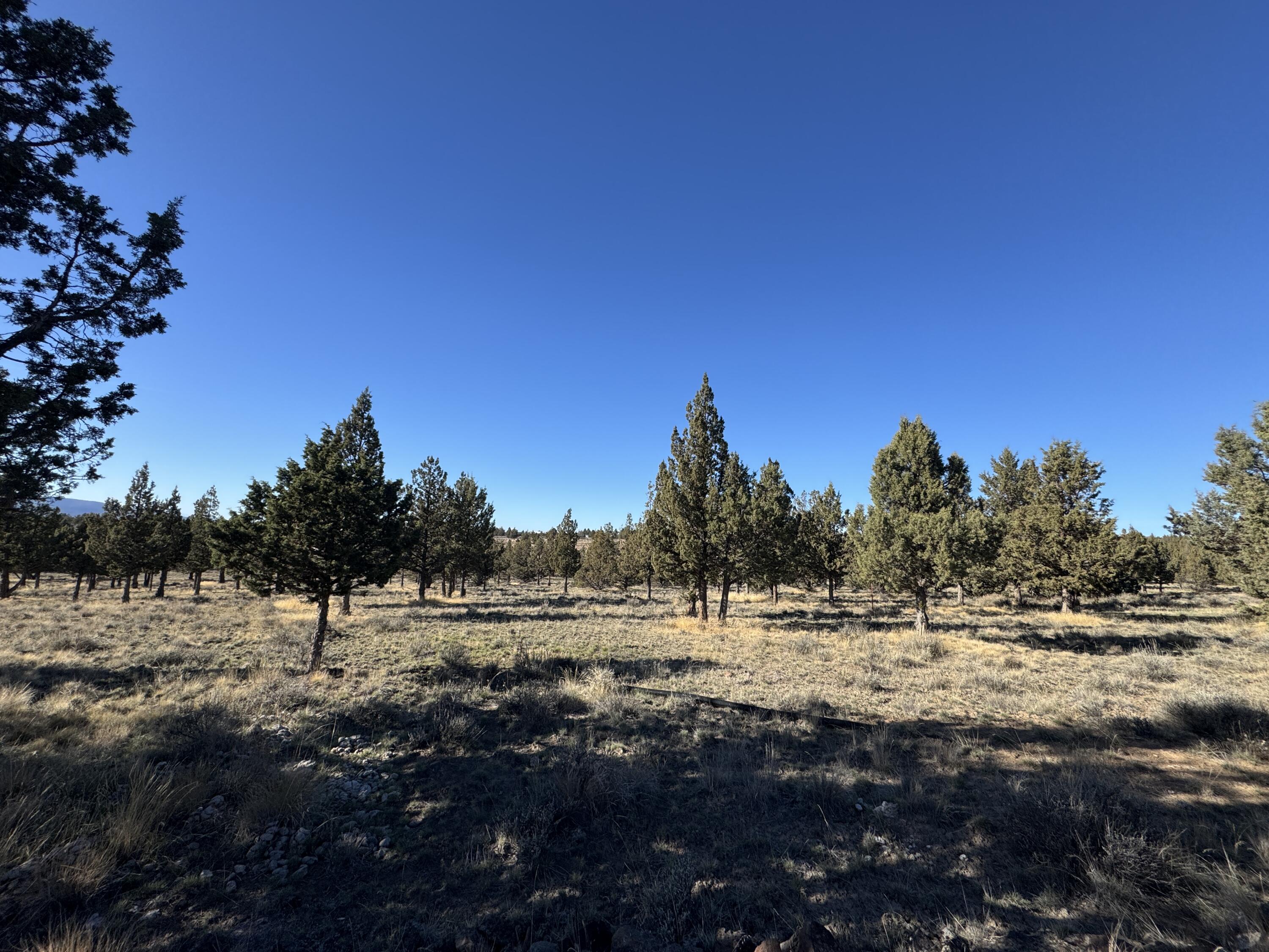 Ochoco Land + Livest - Residential