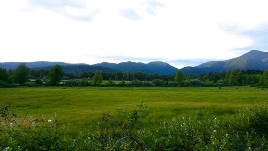 106+ acre ranch with irrigation rights for 80+/- acres - first time on the market! In the heart of Illinois Valley wine country next to Foris Vineyards, with organically maintained pastures, irrigation rights dating back to 1858, 4 bed, 2 bath ranch style home, and second homesite with electricity, septic, and power. Beautiful meadows, cross fenced pastures, and incredible views! Great potential for vineyard, horse ranch, or family retreat! Rental income from pastures, home, and RV site.