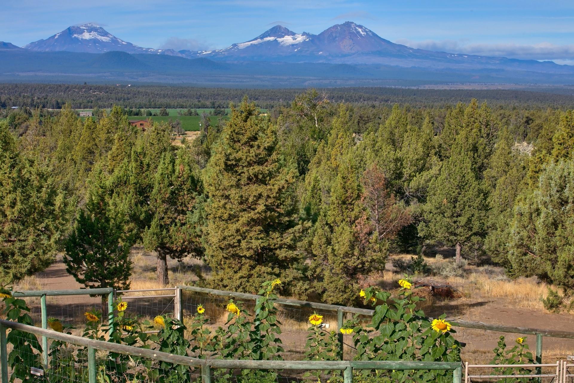 Grandridge - Residential