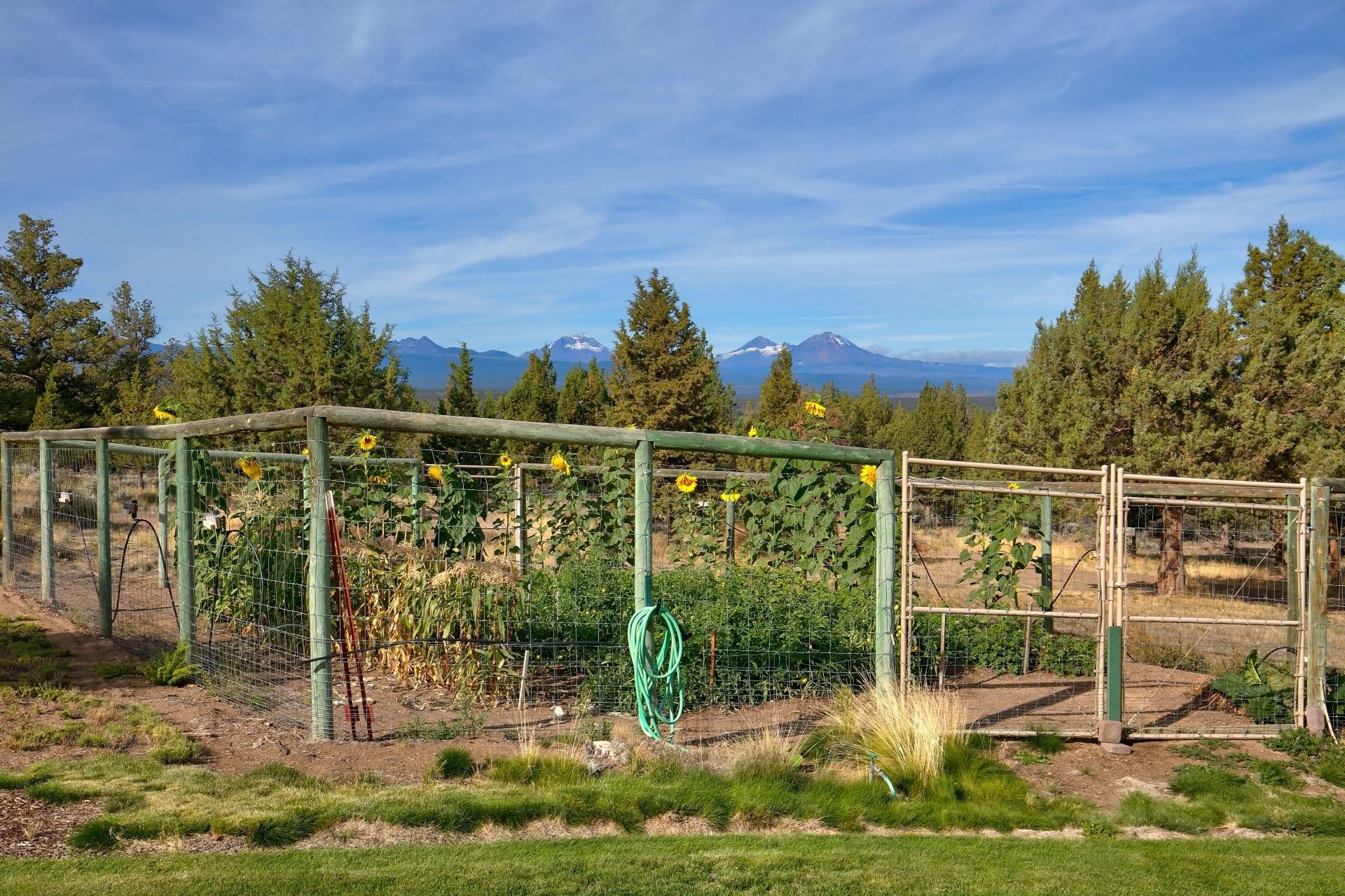 Grandridge - Residential