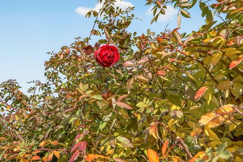 Tiny photo for 270 Morton Street, Ashland, OR 97520 (MLS # 220213317)