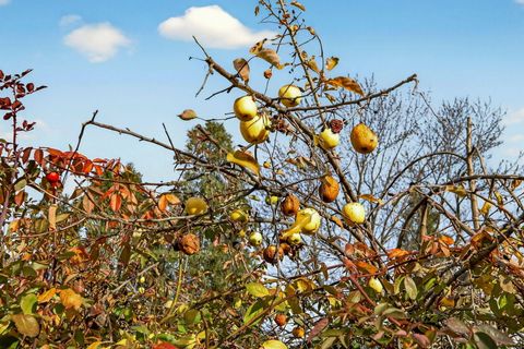 Tiny photo for 270 Morton Street, Ashland, OR 97520 (MLS # 220213317)