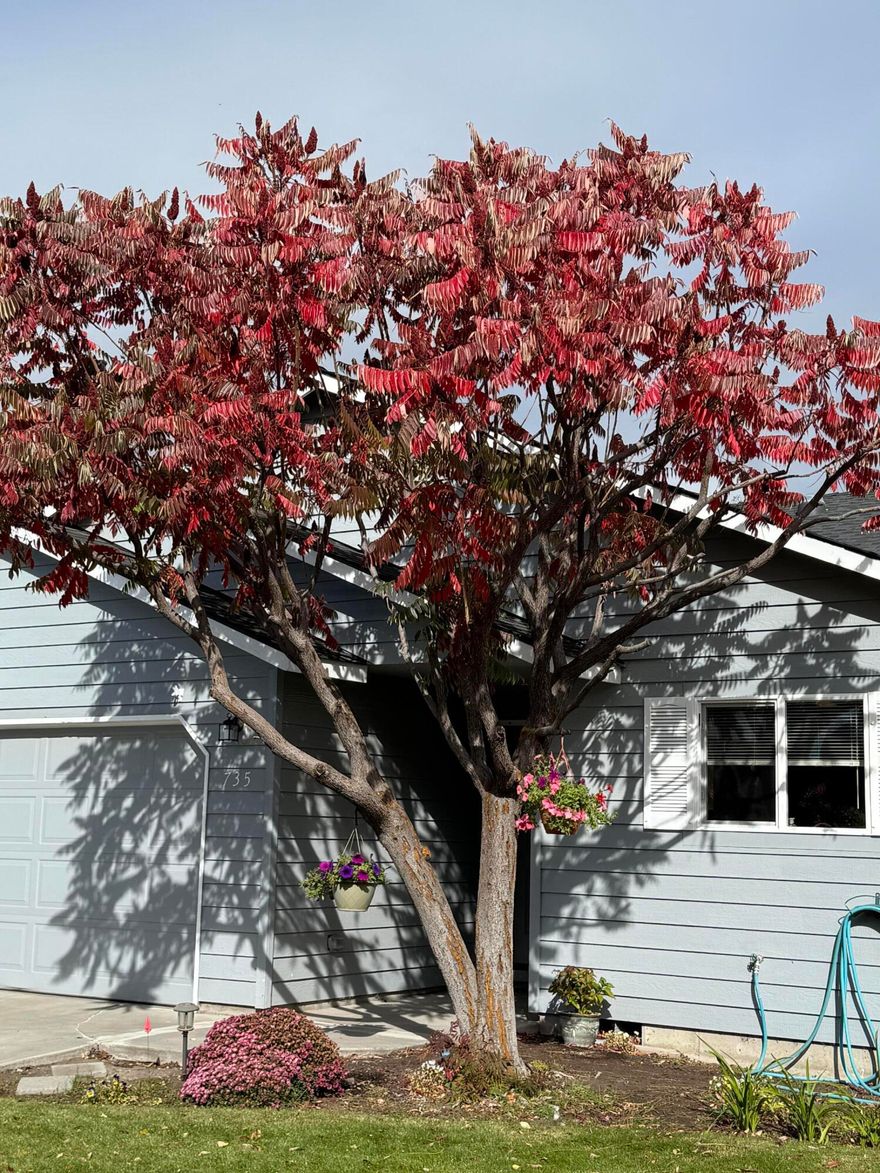 BRAND NEW STAINLESS STEEL APPLIANCES AS OF 10/3/25. THE FRIDGE HAS A 3 YEAR TRANSFERRABLE WARRANTY. Discover a home that feels like more than just four walls. This charming, well-maintained single-level in Redmond offers the space you need with a grand open-concept living room, private primary suite with dual vanities and walk-in closet, and secondary bedrooms set apart for privacy. Natural light pours inside with added solar tubes. But the real magic waits out back: a spacious yard framed by an 8-foot fence and a private gate leading directly to the canal path—your own hidden escape for morning jogs, dog walks, or a peaceful evening stroll away from neighbors. Afterward, unwind in the hot tub or retreat to the oversized garage with epoxied floors and a 220-volt EV plug. With AC, all major appliances included, and unbeatable proximity to Highway 97, shopping, and Redmond's favorite amenities, this home delivers not just convenience but a lifestyle upgrade you won't find everywhere.