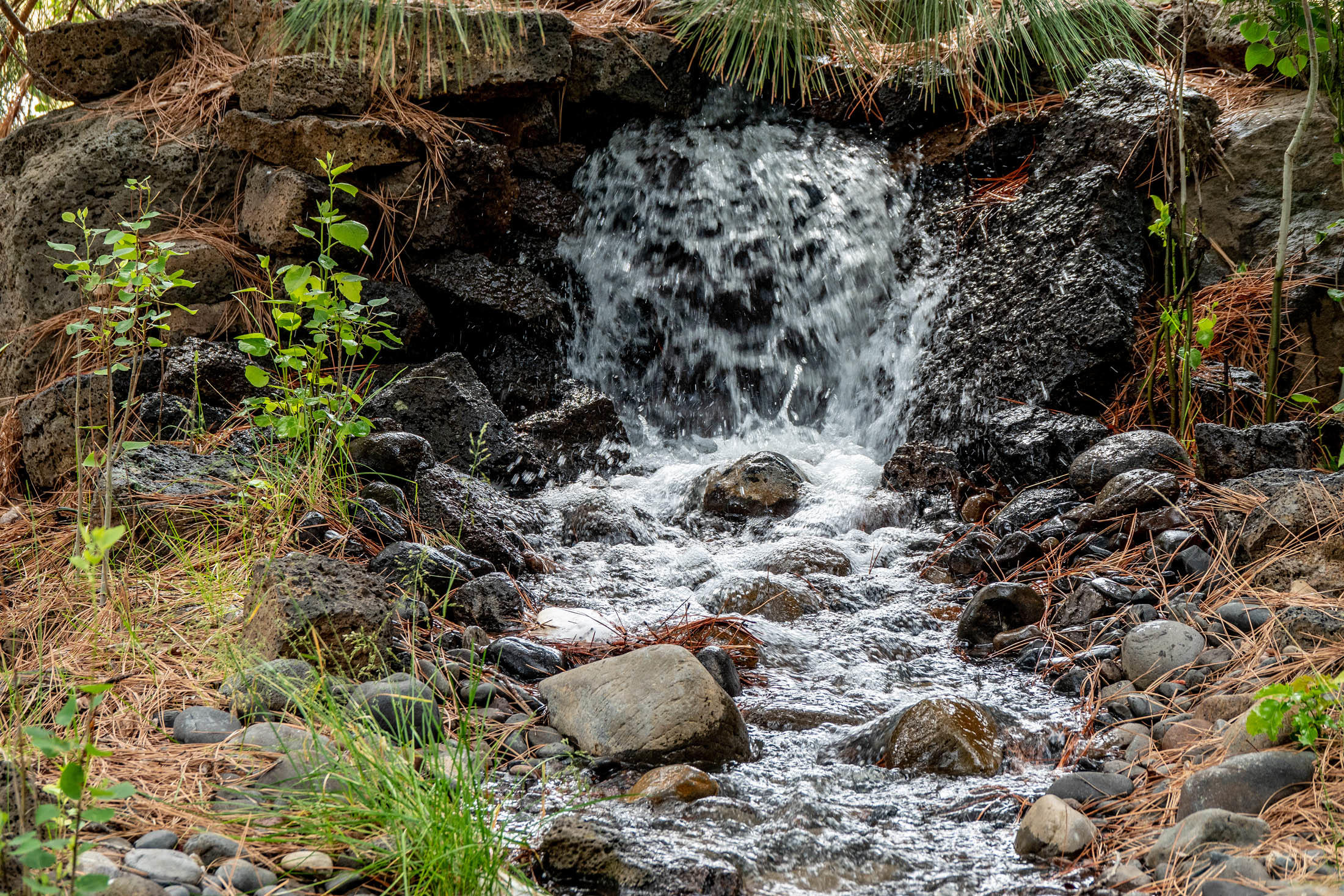 Winston Ranch - Residential
