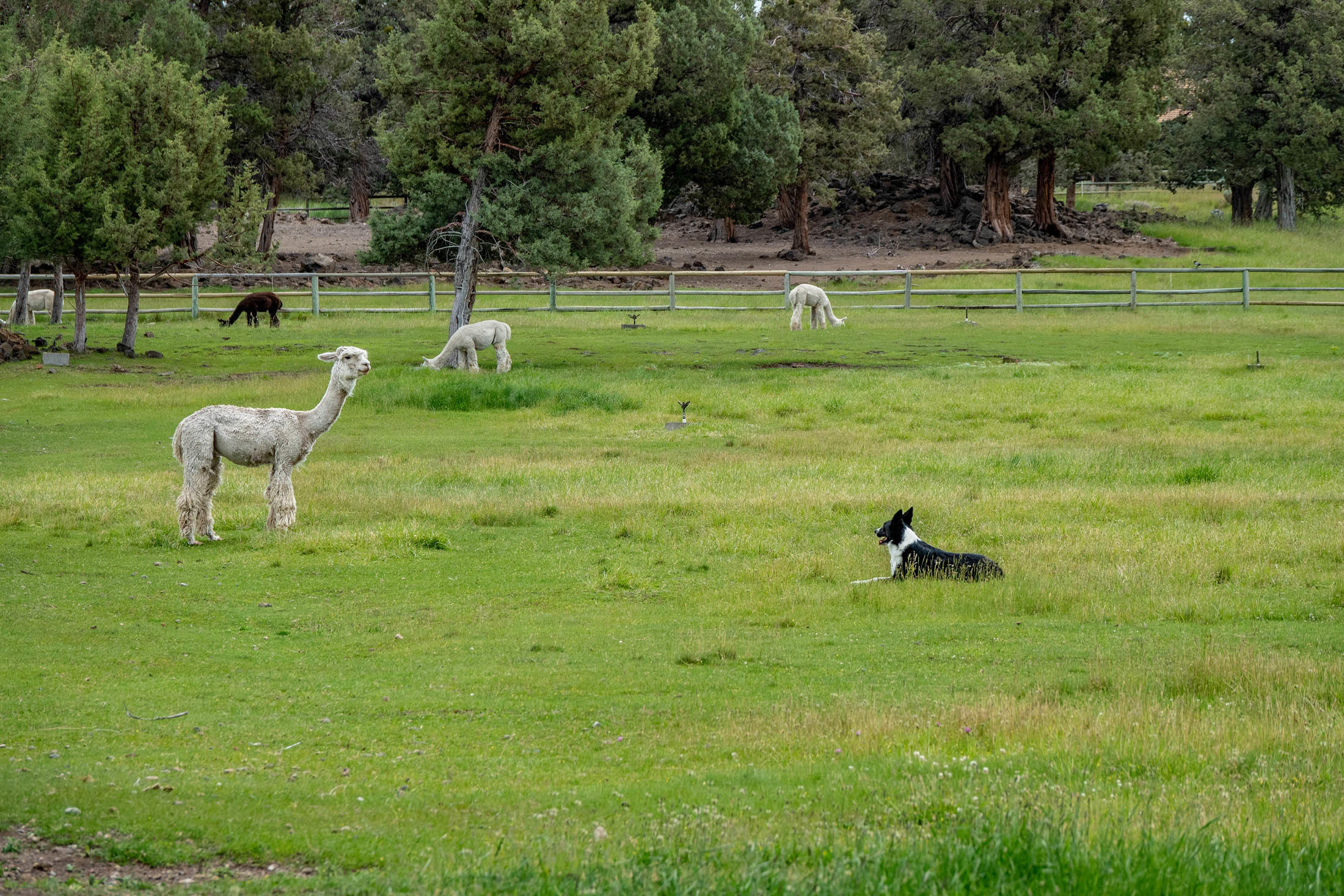 Winston Ranch - Residential