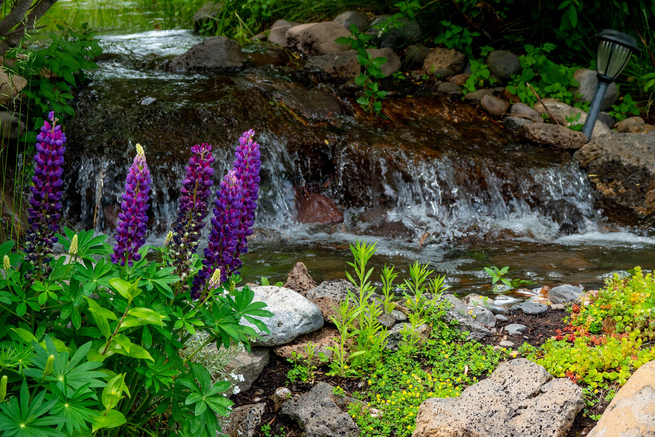 Winston Ranch - Residential