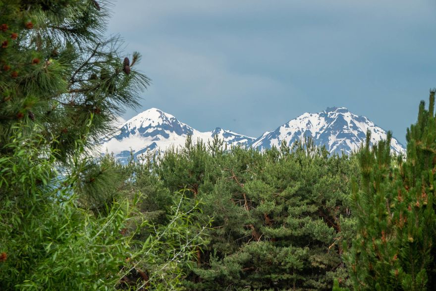 Panoramic 8 white Cascade Mountain views. Spectacular newly redone single level NW ranch home located in Tumalo. Vaulted great room plan w/floor to ceiling windows to stunning Cascade Mountain views. 3 full bedrooms & baths plus office. Full interior remodel 2019. Knotty Alder cabinetry throughout home. All counters granite or Caesar stone. Floor to ceiling dry stack stone fireplace. Kitchen w/slab granite island, informal bar seating, Jenn Air gas cooktop, Bosch appliances, Blanco sink, pantry. Wonderful master suite w/views. Bath w/in-floor radiant heat, European shower. Eagle Creek Prestigious Collection engineered hickory hardwood front & back decks. Waterfall/creek w/Koi fish pond. Presidential roof, new exterior paint & gutters, new well pump 2018, 3-car oversized garage. Shrubbery/flowers auto drip/auto sprinklers. Lush irrigated fenced pasture on 2 sides, 6.6 irrigated acres. Mountain views are protected in CC&R's. Assessor 2374 SF doesn't include 366 SF permitted 2008 office.