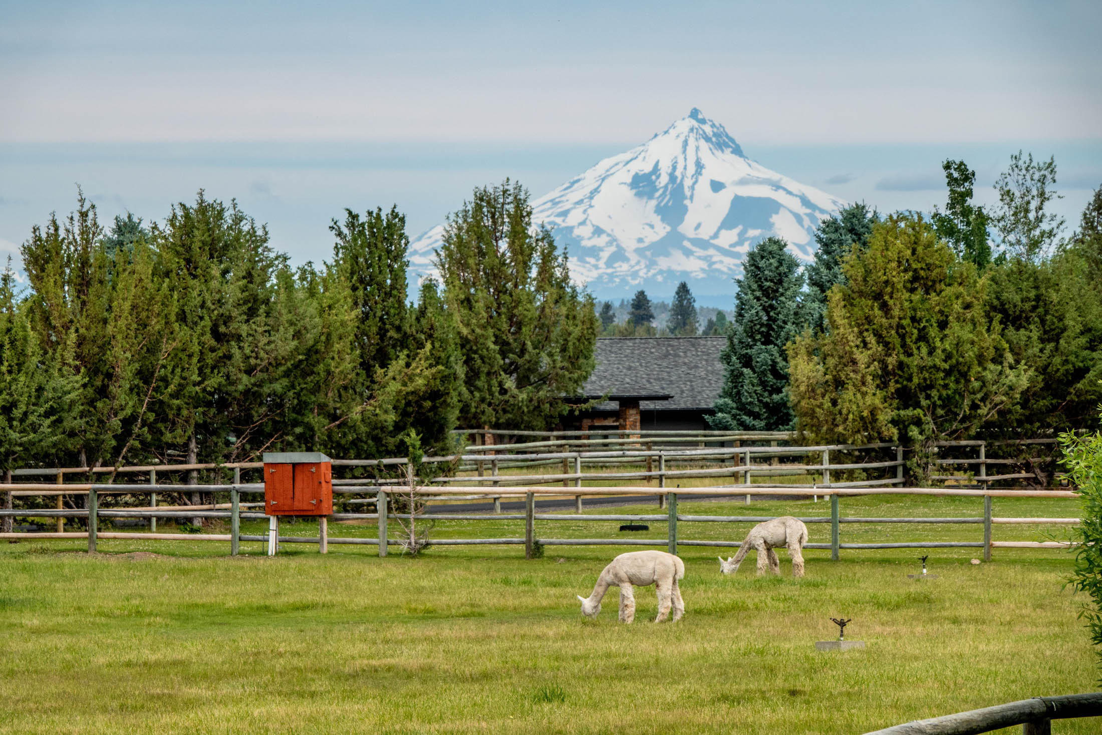 Winston Ranch - Residential