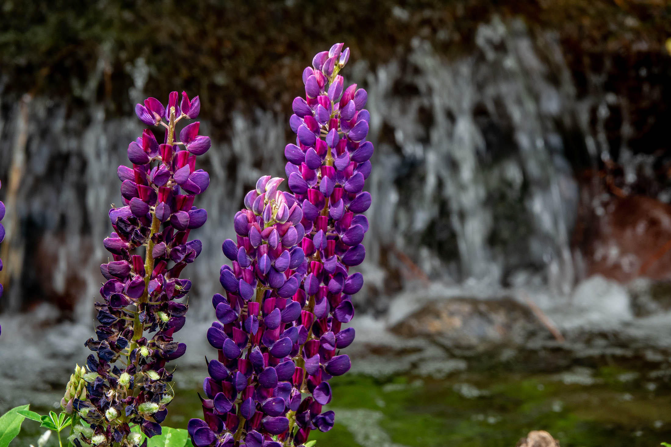 Winston Ranch - Residential