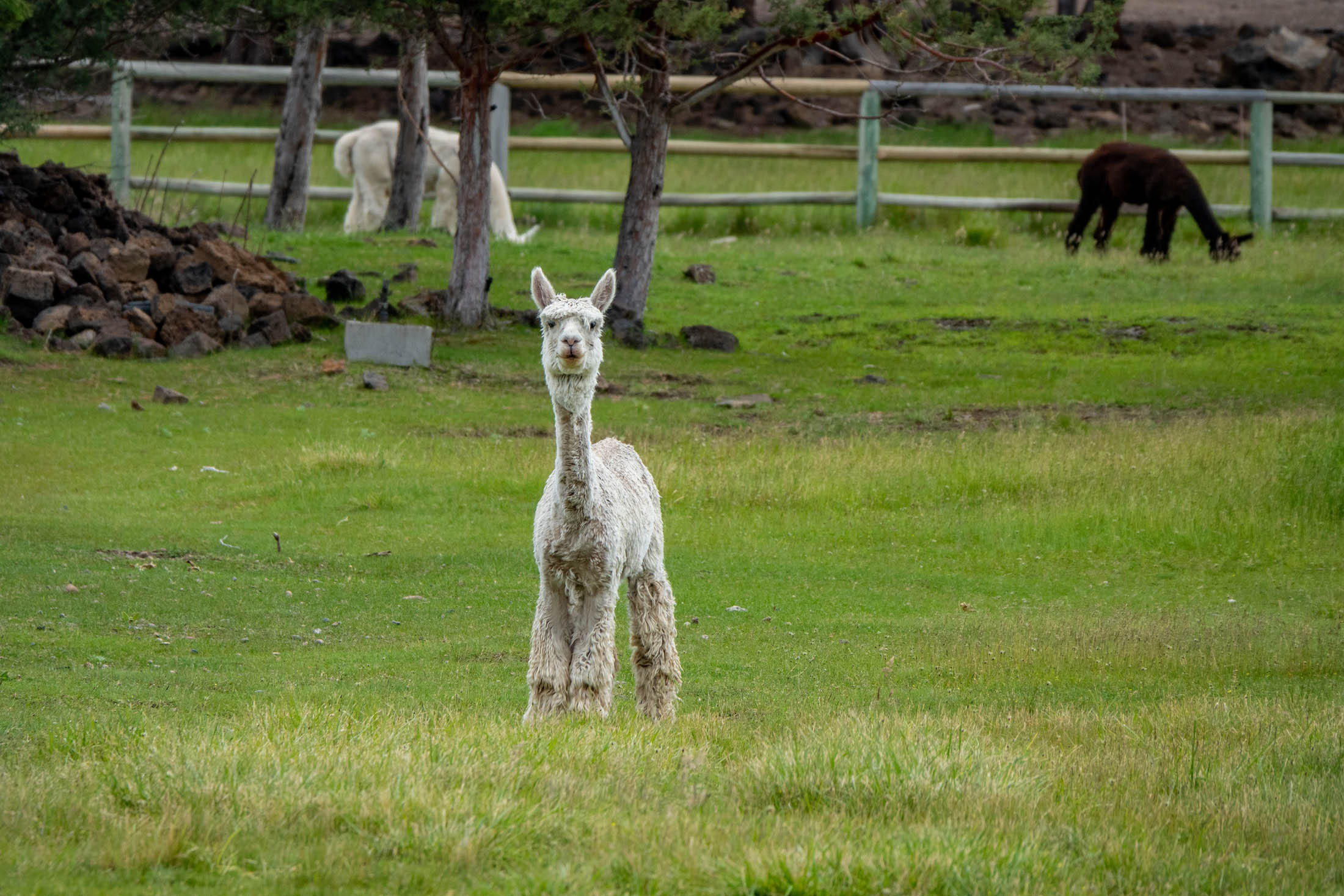 Winston Ranch - Residential