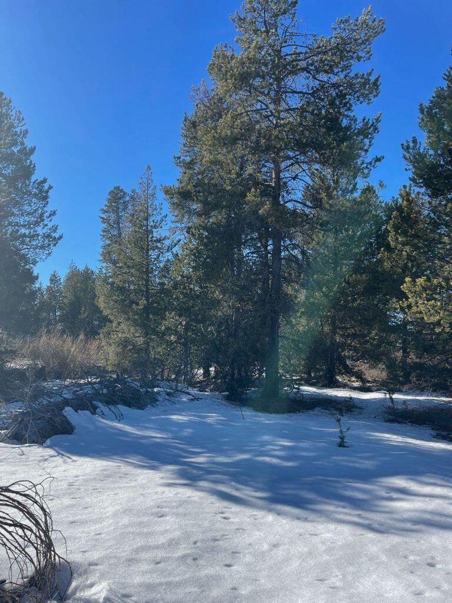 Riverfront!!  Perfectly situated by the Little Deschutes River, a perfect spot to create limitless weekend memories with your family & friends.  Just think of all the recreational activities open to you in the heart of central Oregon's outdoor paradise.  From camping, fishing, white water rafting to just relaxing by the water listening to the calming flow of the river.
All this is accessible by a paved road to your land.  Less stress arriving to your destination, with extra time to appreciate the natural surroundings.   Not only can you relish your own land, you are in close proximity to La Pine State Park and Cascade Lakes, so you'll have easy access to everything the area has to offer – take a hike through the volcanic landscape at Lava Lake, try your luck with a fishing rod at Hosmer Lake or take pictures of the turquoise waters of Devils Lake.
Do not pass up this opportunity to own this ideally located parcel. Infinite possibilities await you, your family & friends.