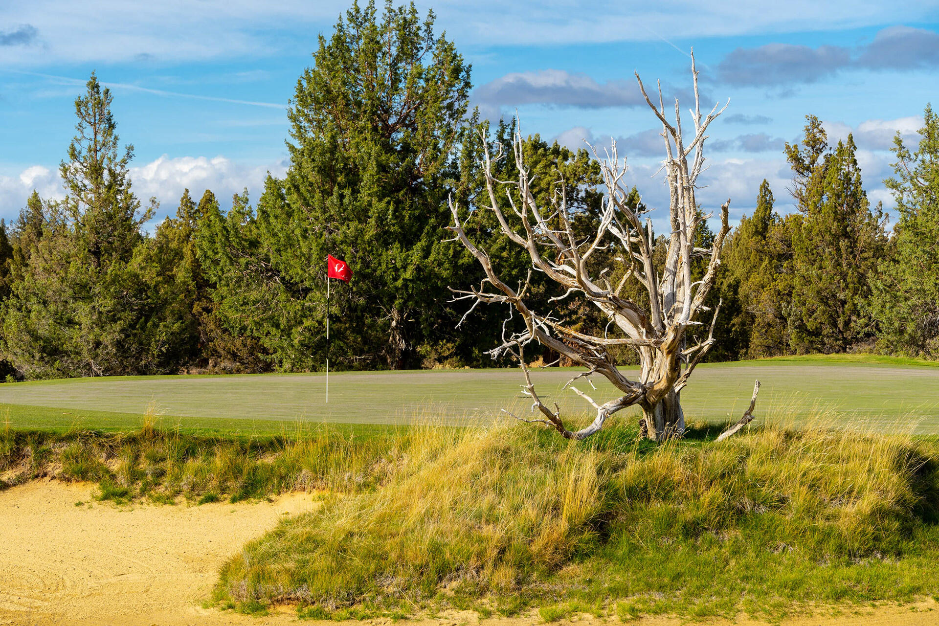 Pronghorn - Residential