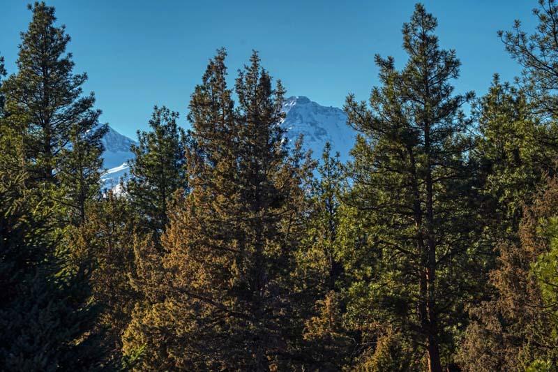 Ponderosa Cascade - Residential