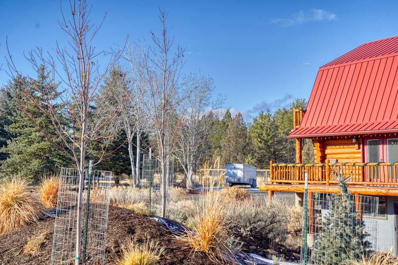 Ponderosa Cascade - Residential