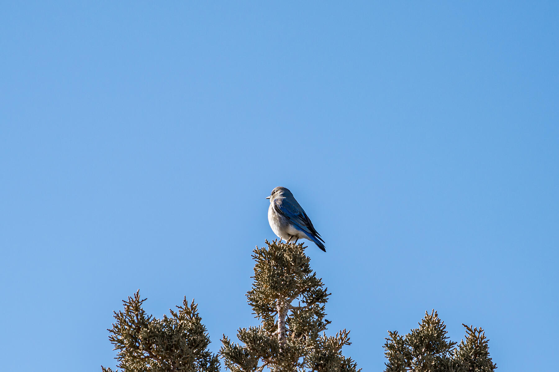 Brasada Ranch - Residential