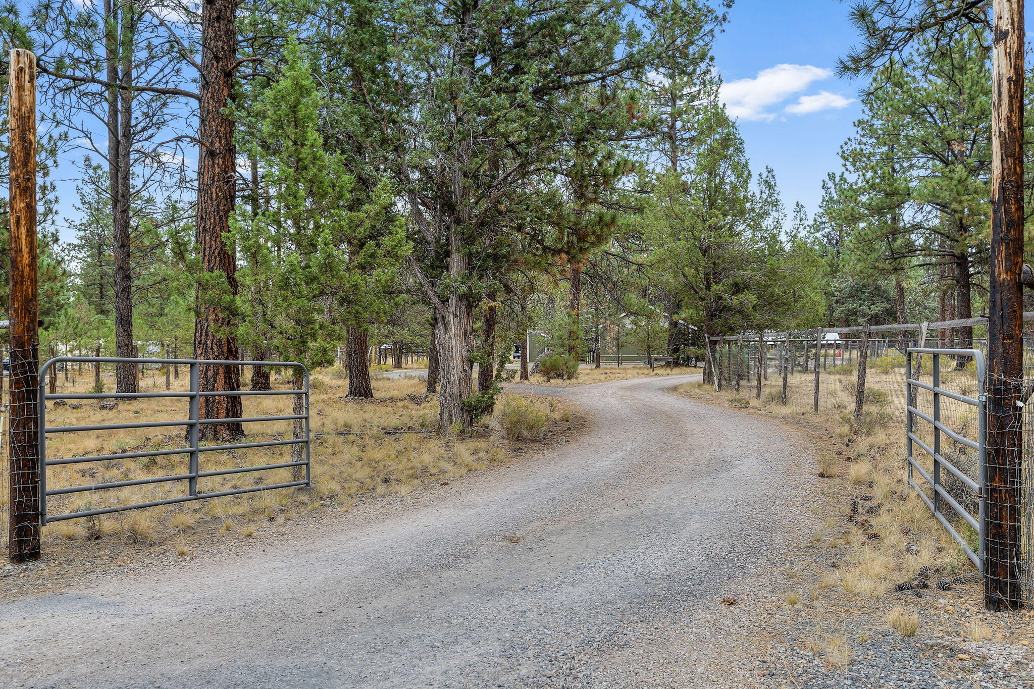 69222 Yellow Daisy Lane