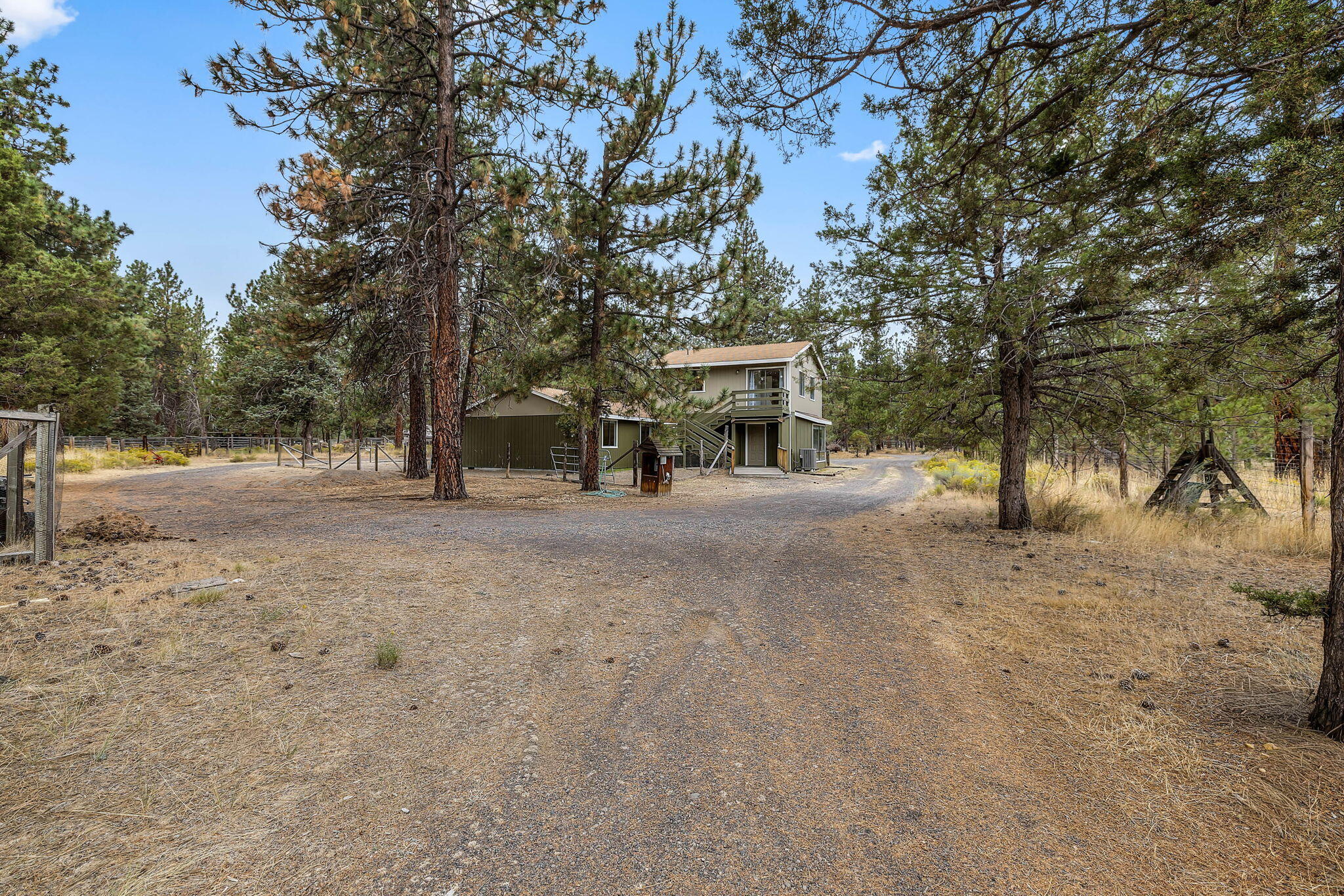 69222 Yellow Daisy Lane
