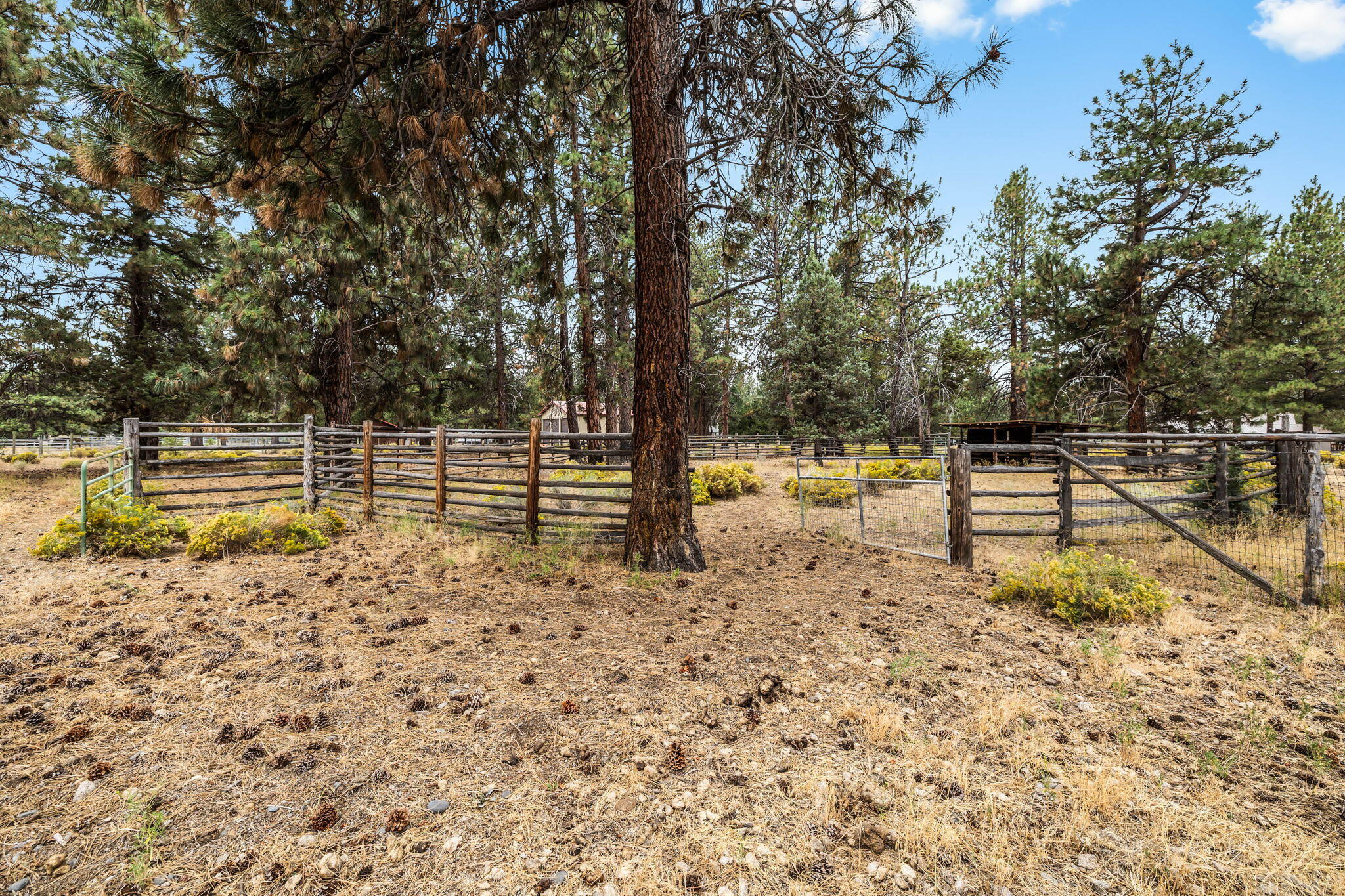 Indian Ford Meadows - Residential