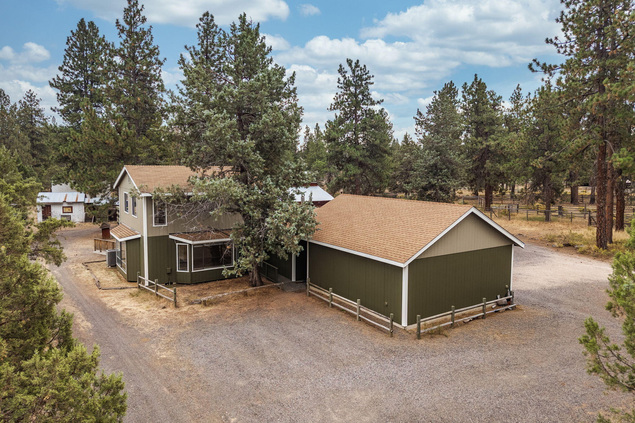 69222 Yellow Daisy Lane