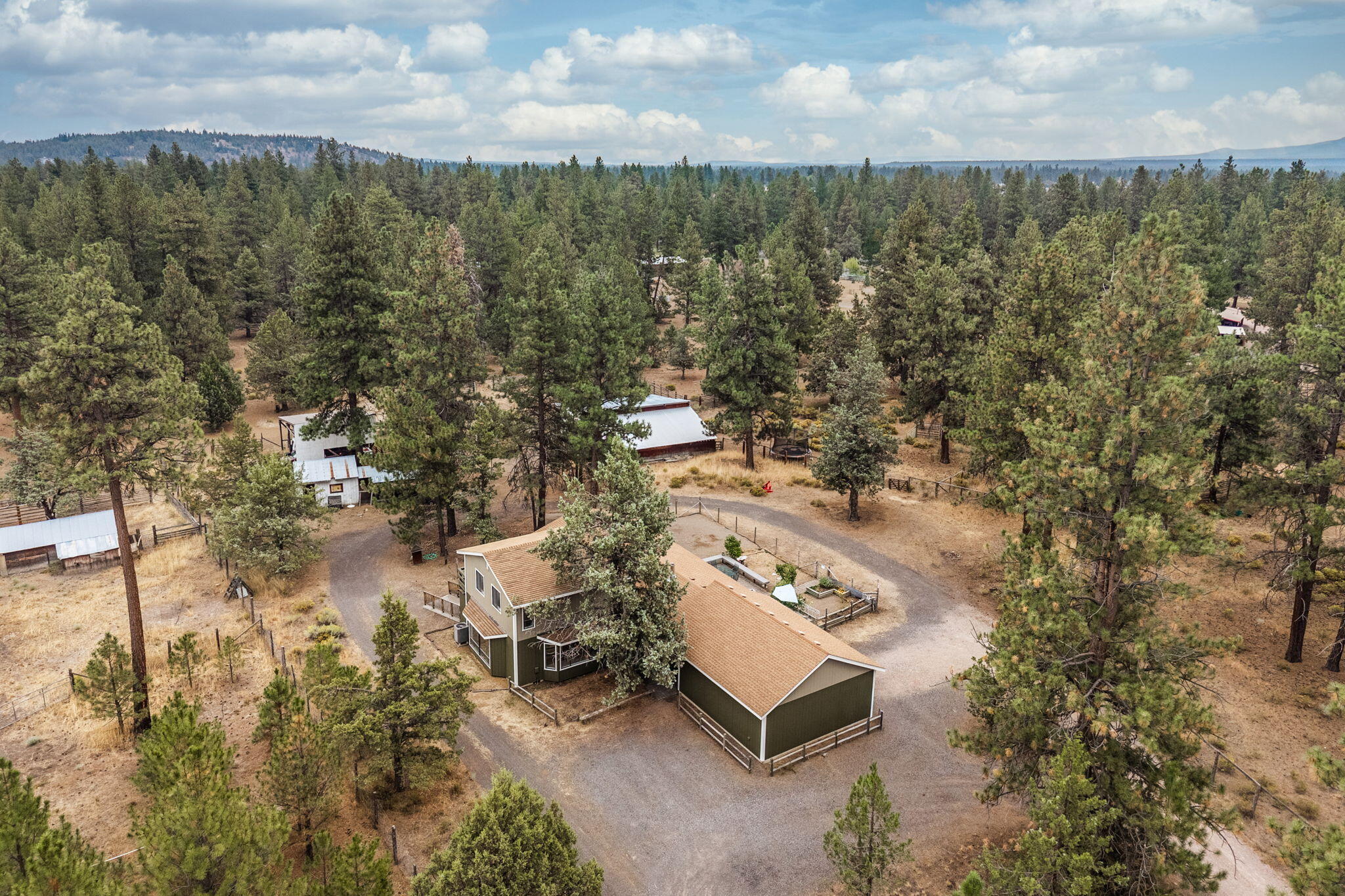 69222 Yellow Daisy Lane