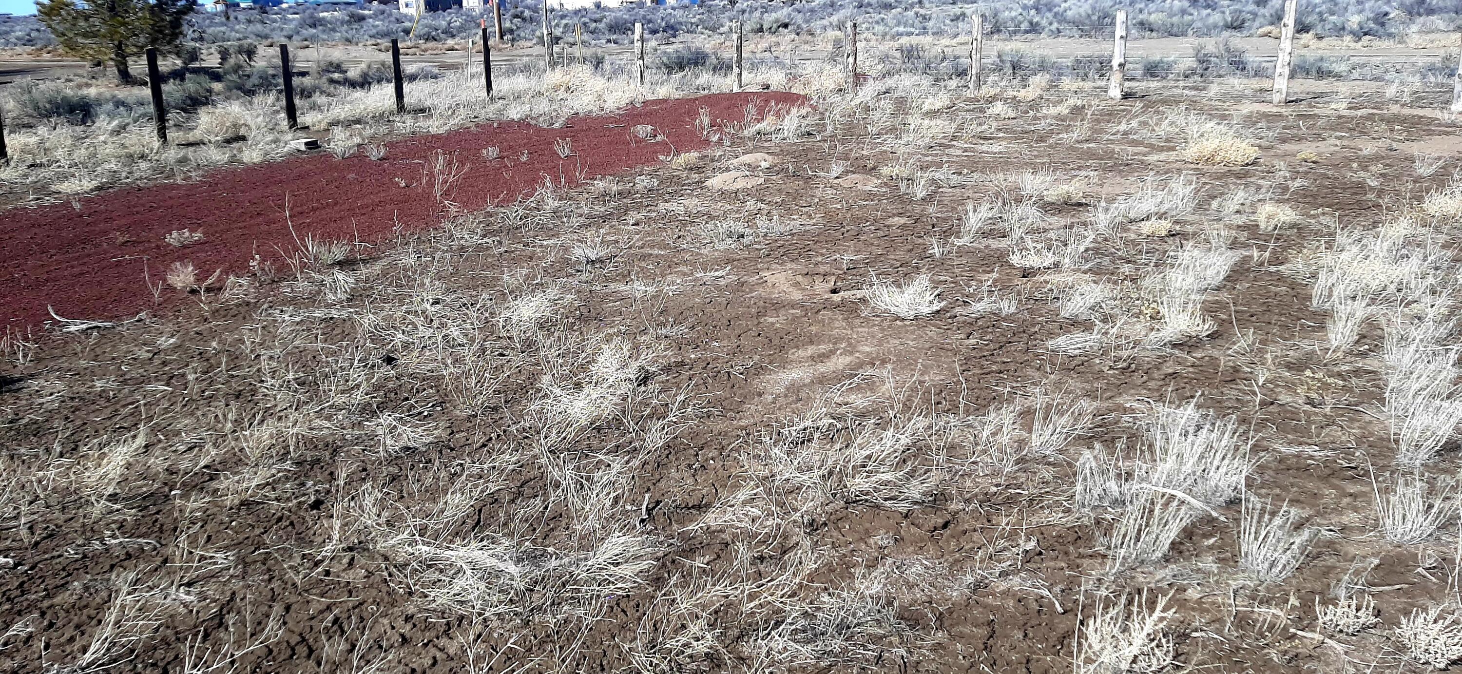 Christmas Valley Unit8 - Land