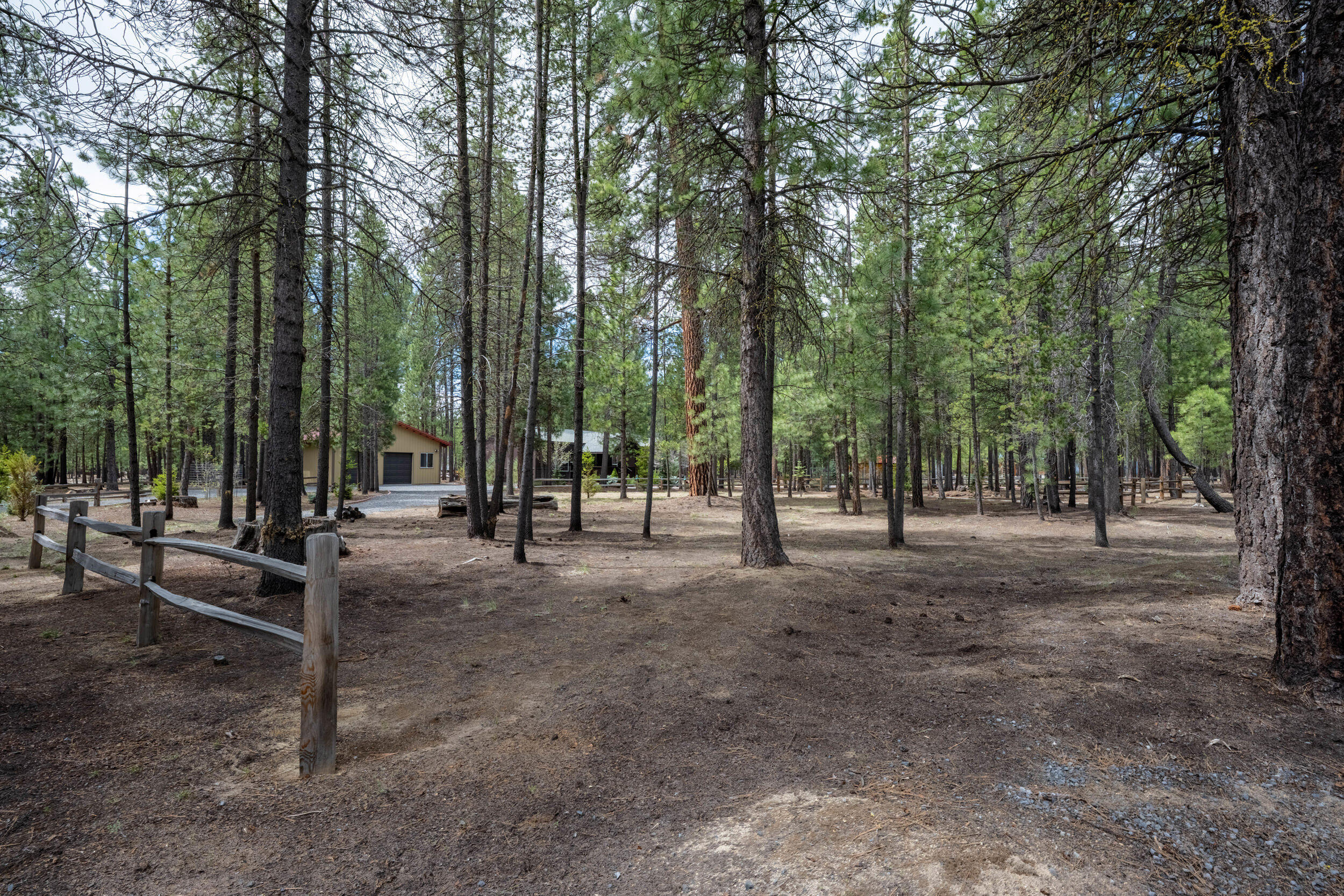 Ponderosa Pines - Residential