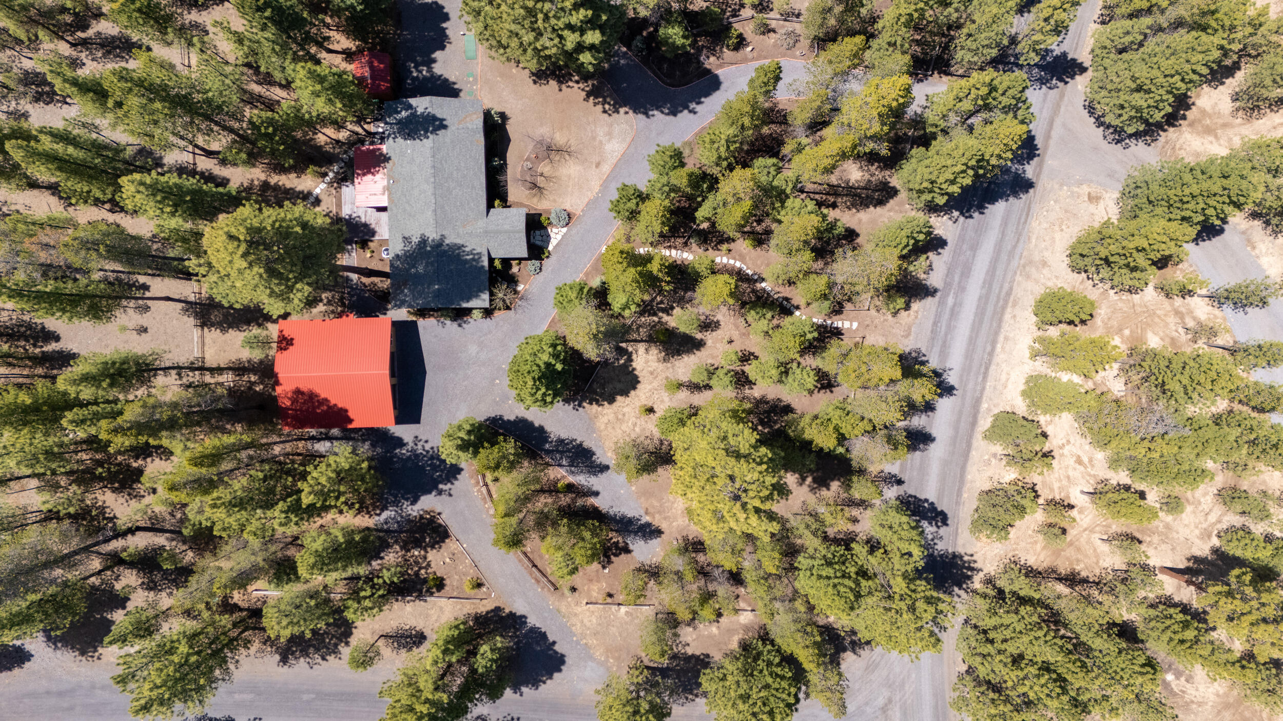 Ponderosa Pines - Residential