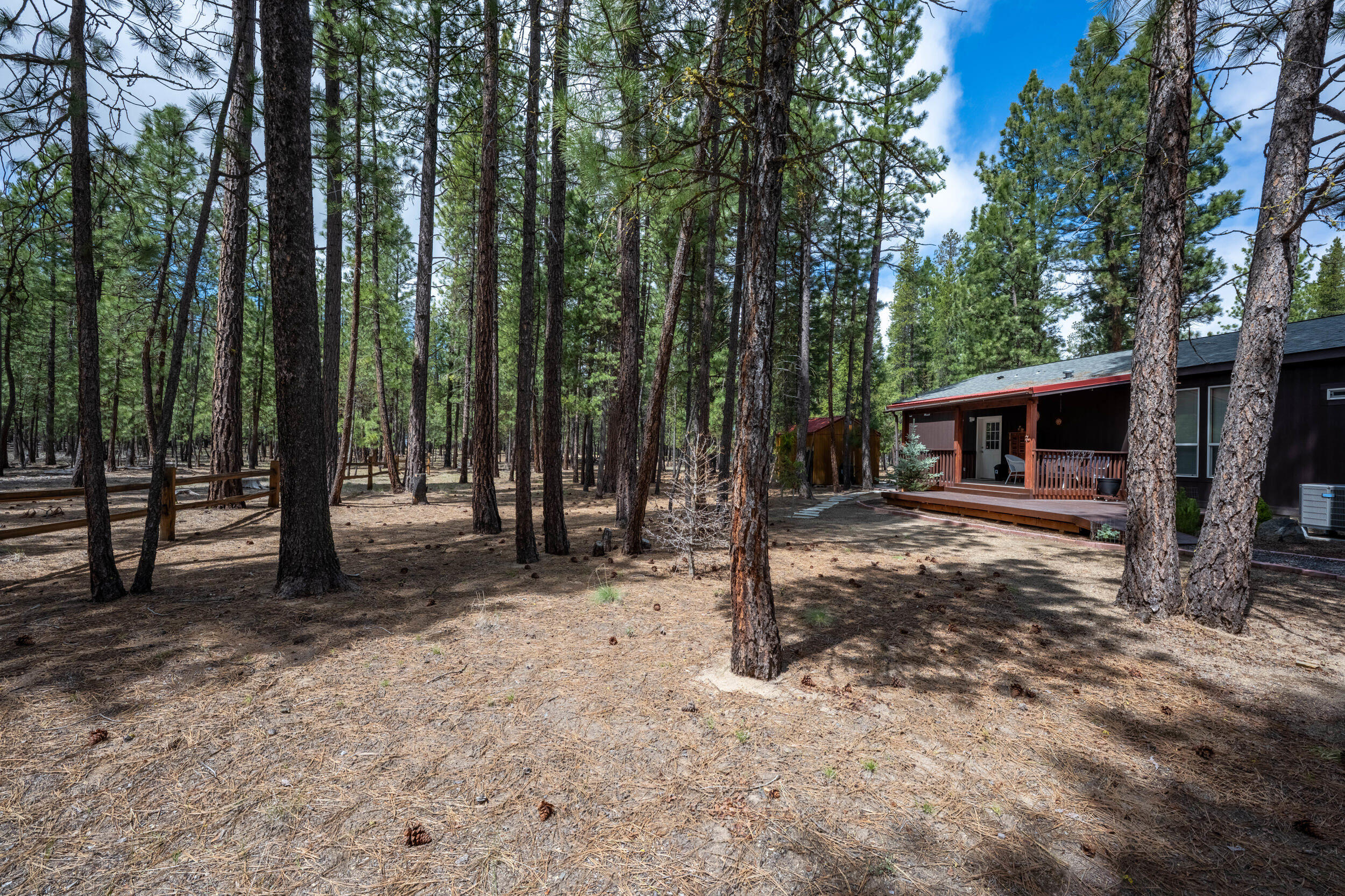 Ponderosa Pines - Residential