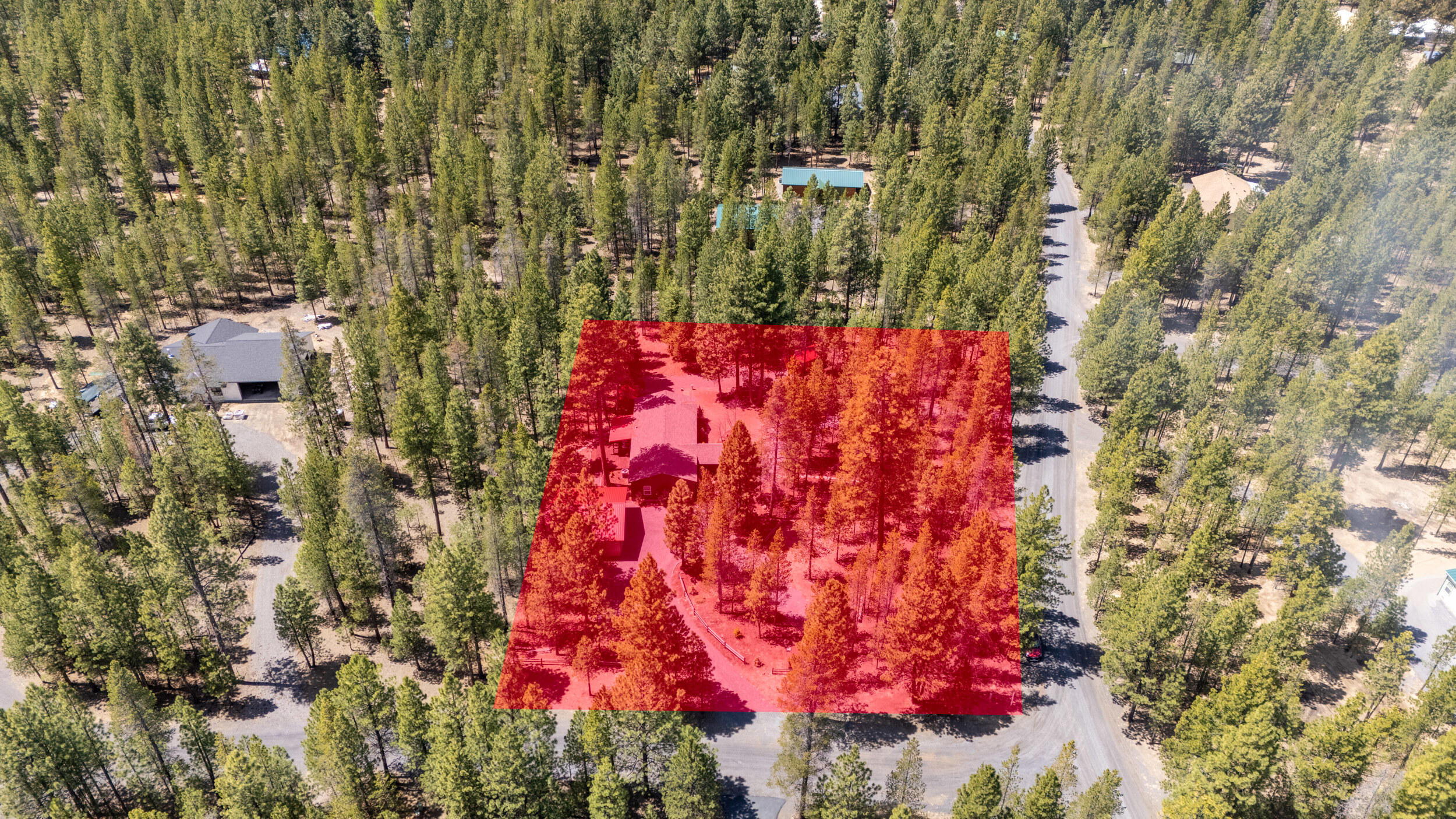 Ponderosa Pines - Residential