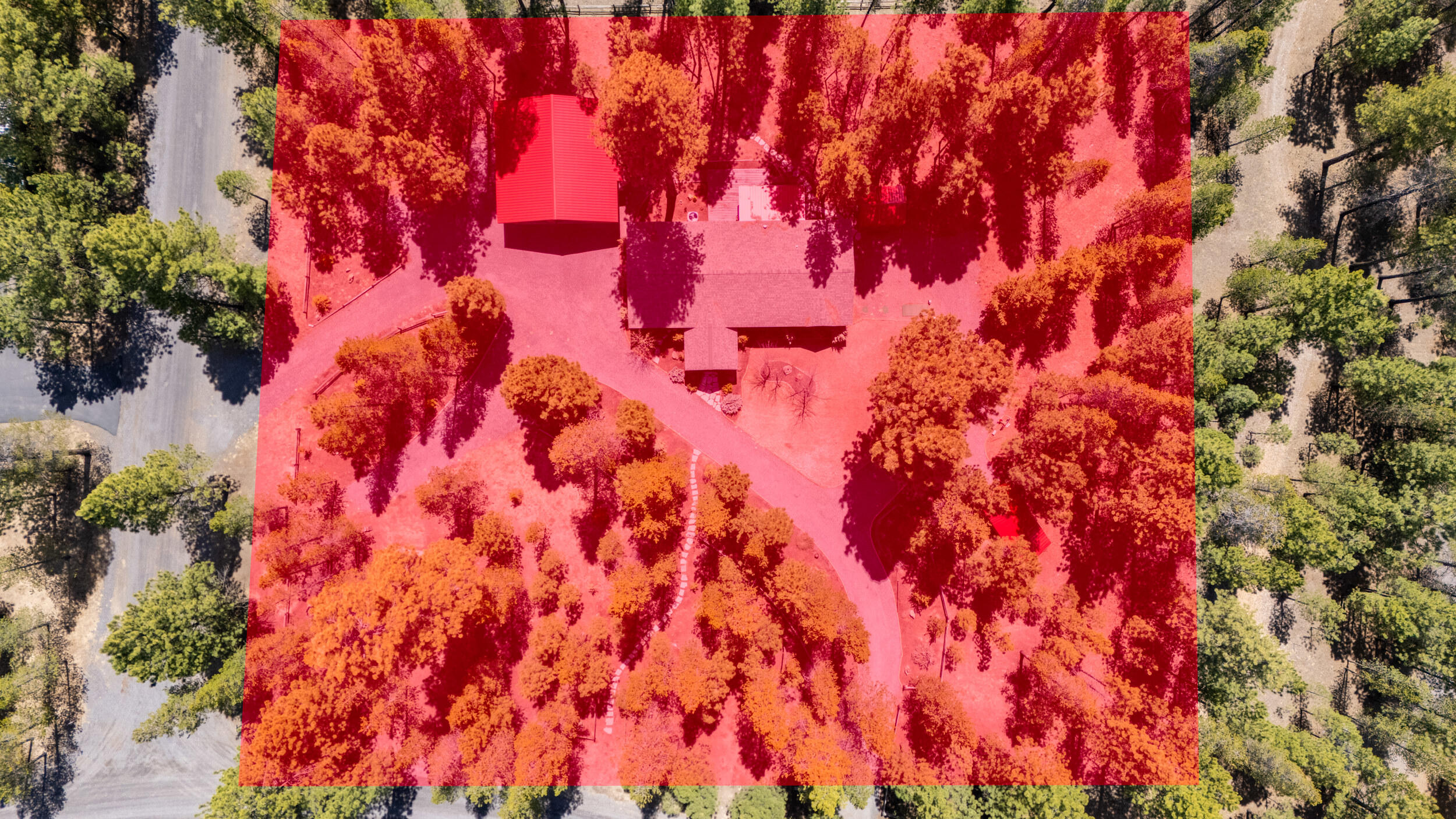 Ponderosa Pines - Residential