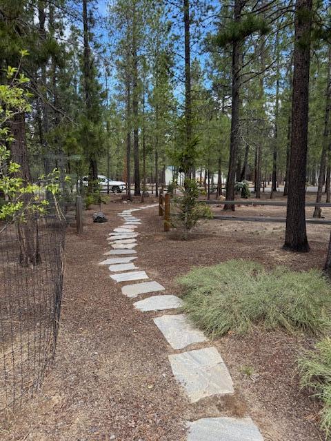 Ponderosa Pines - Residential