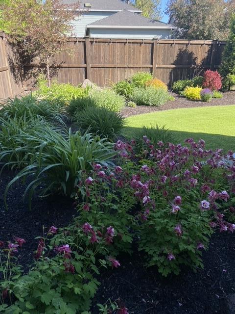 Skyliner Summit - Residential