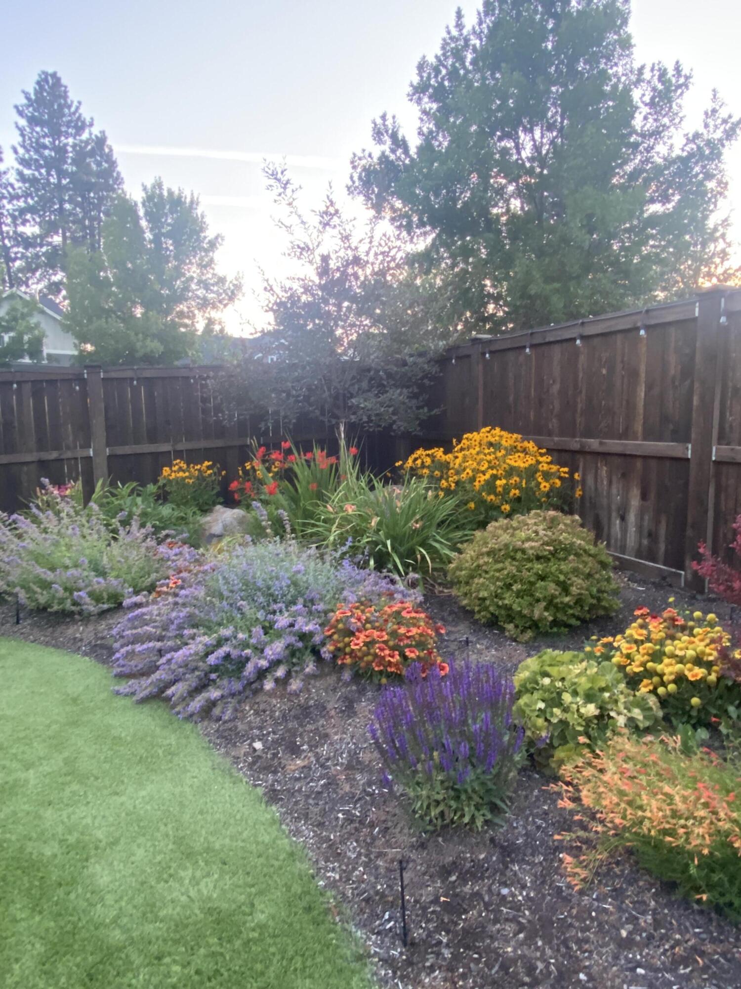 Skyliner Summit - Residential