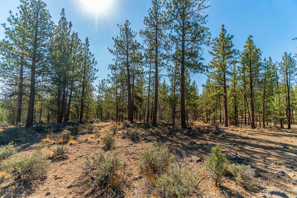 Skyline Ranch - Land
