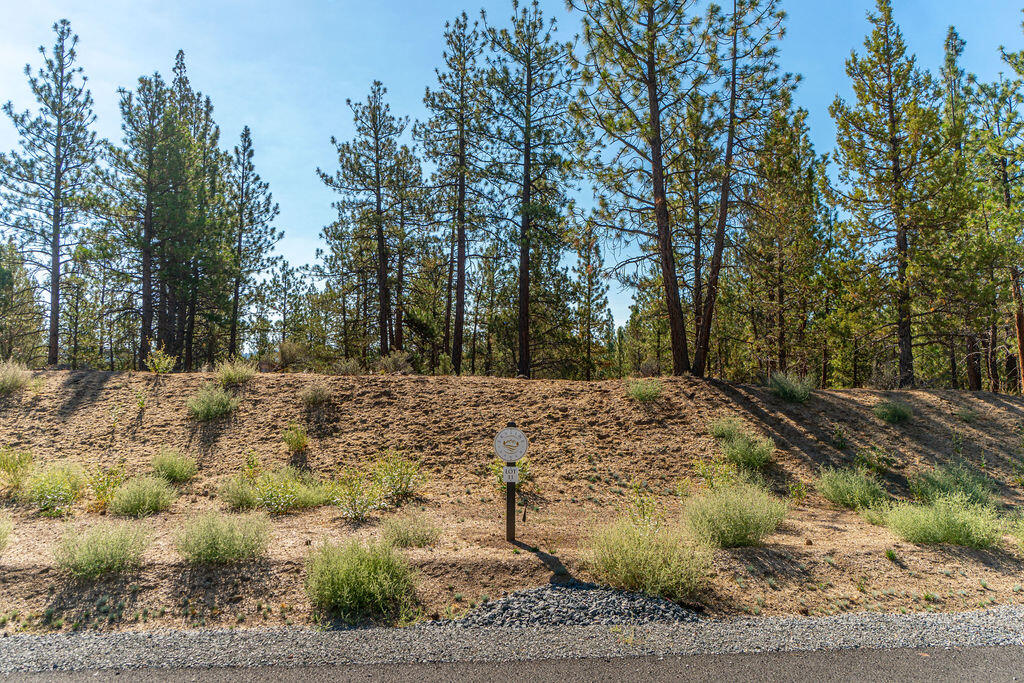 Skyline Ranch - Land