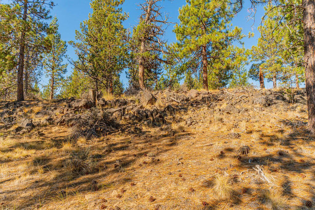 Skyline Ranch - Land