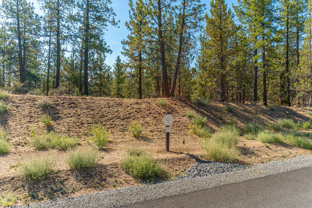 Skyline Ranch - Land