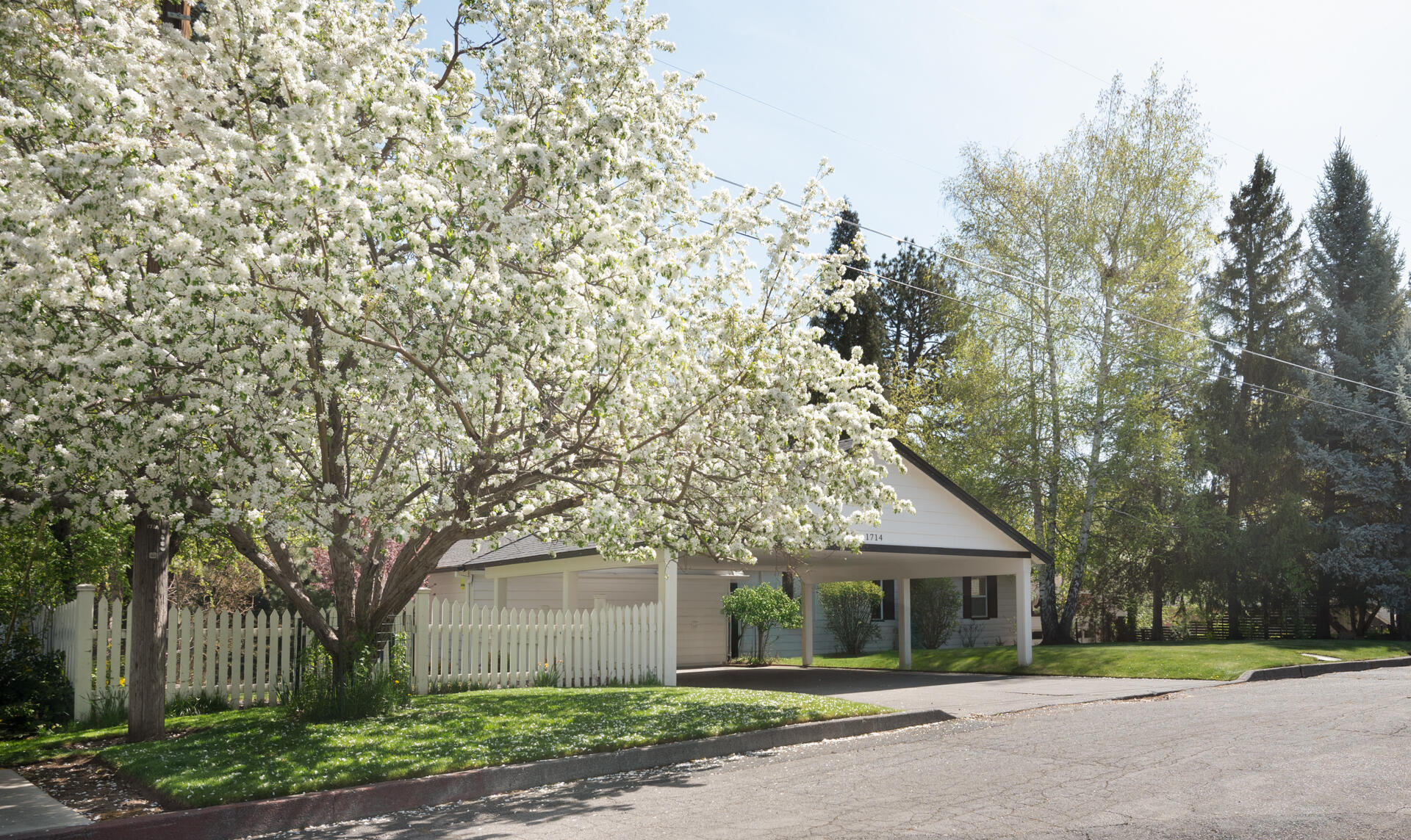 River Terrace - Residential